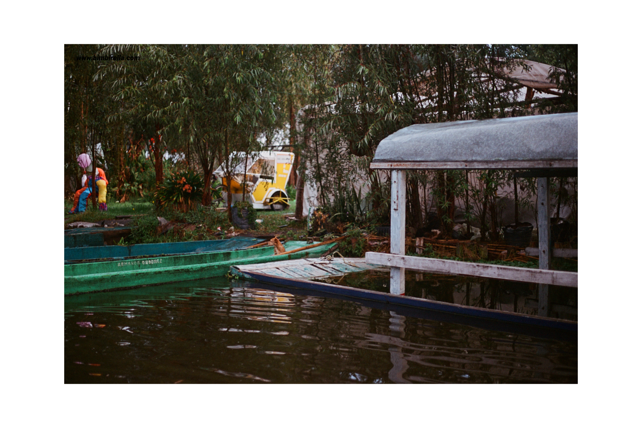IMG_5528.PNG