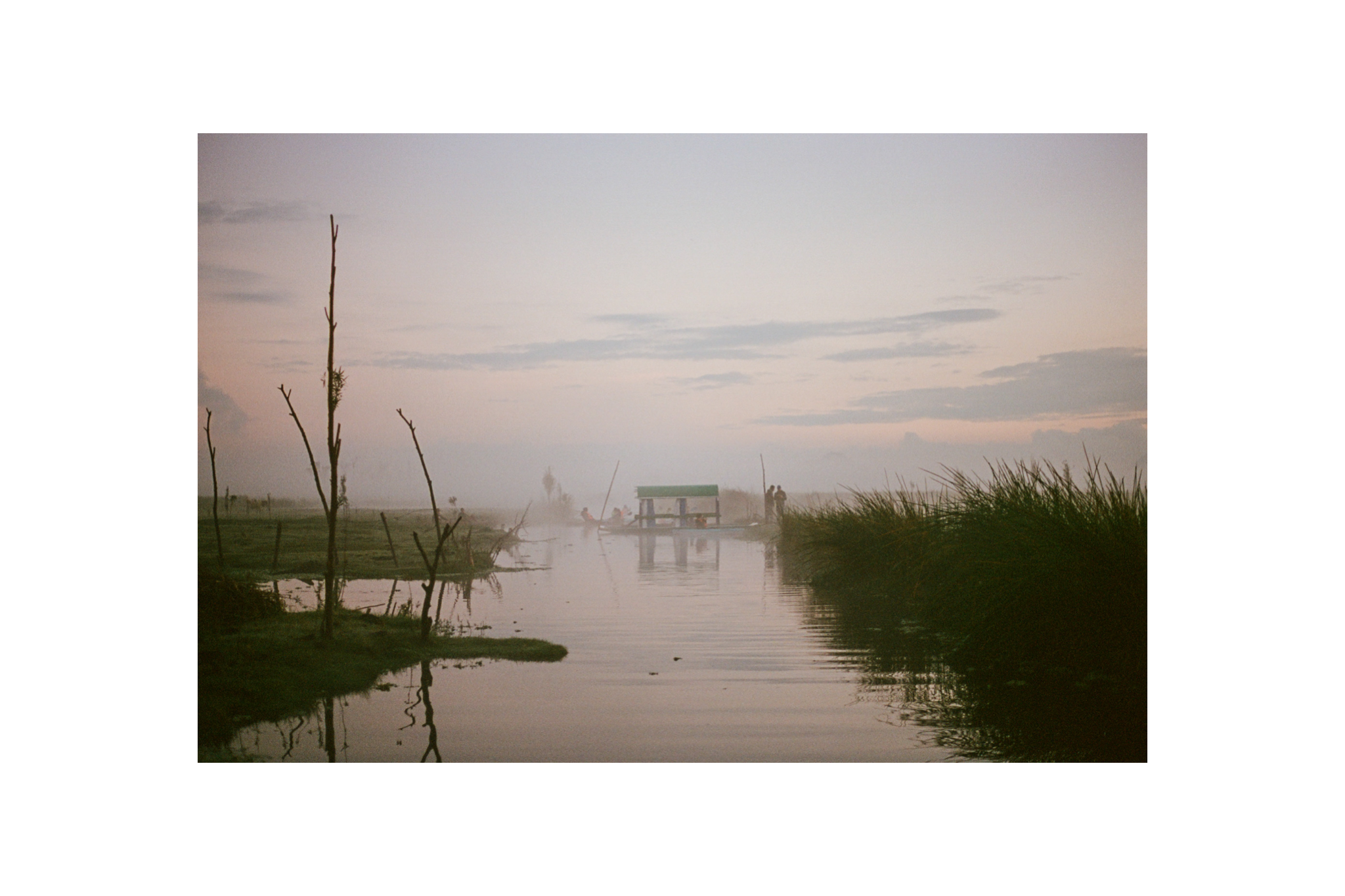 IMG_5550.PNG