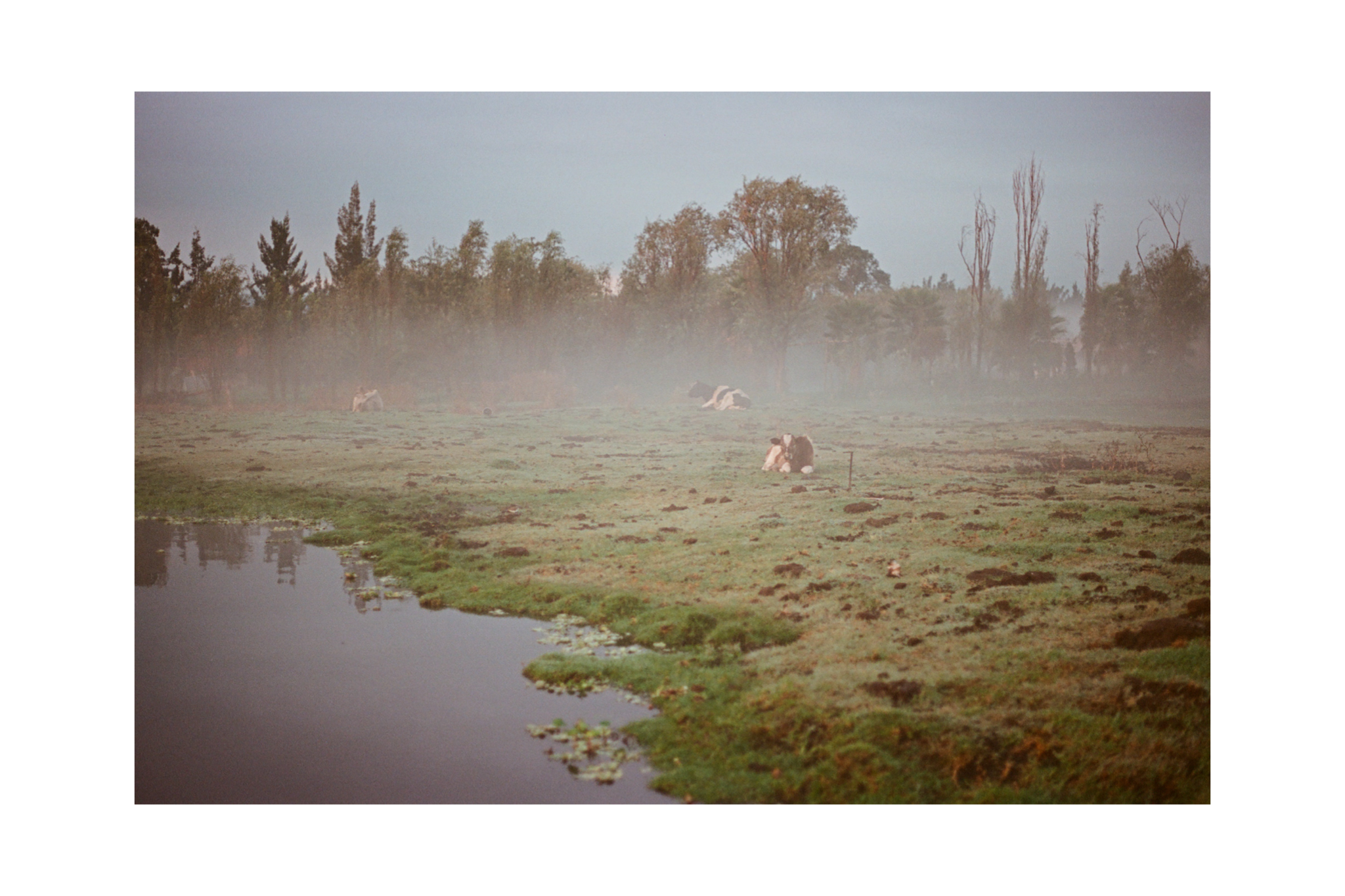 IMG_5557.PNG