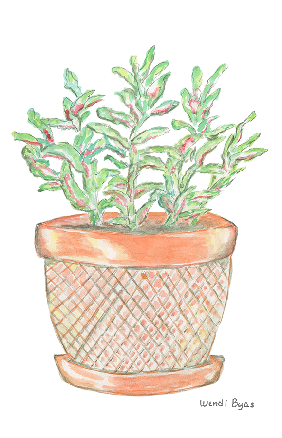 Website - ATLplantinpot - shop.png
