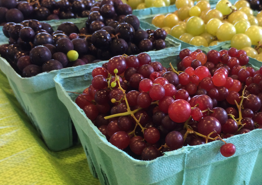 Website - Portfolio - grapes.png