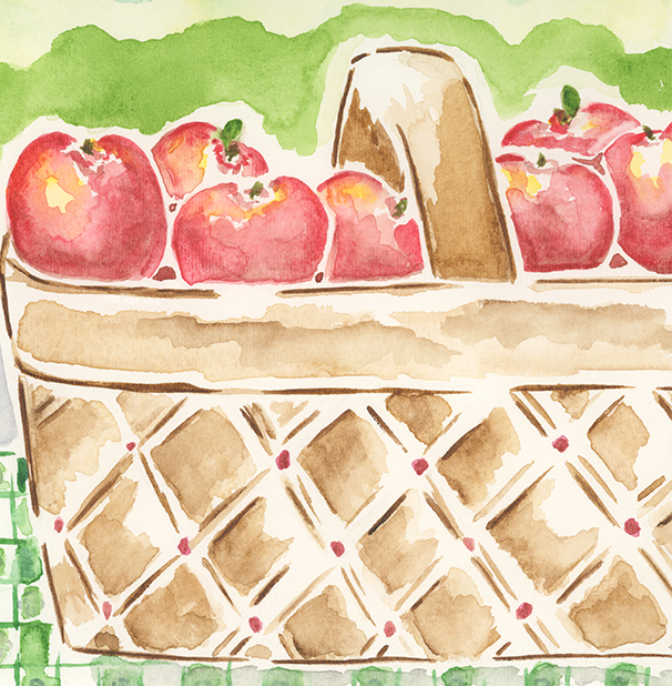 website - AppleBasket-Portfolio backup.png