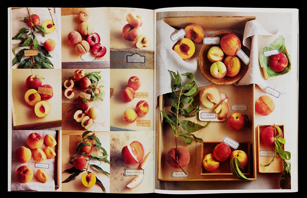 peaches-02.jpg