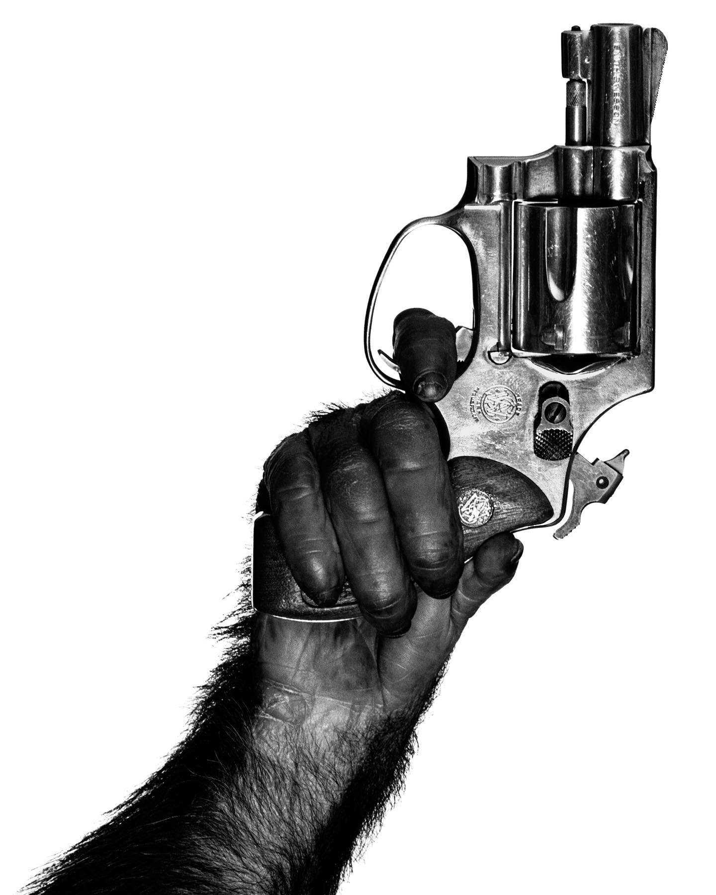 Monkey with Gun, New York City, 1992.jpg
