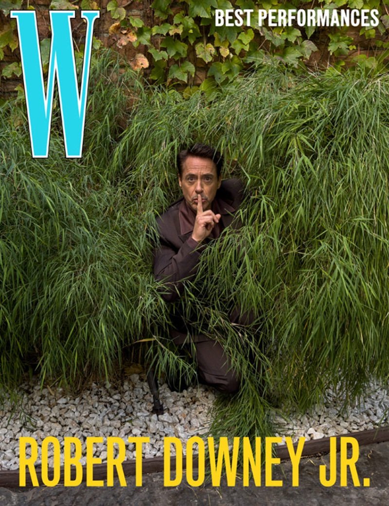 Robert-Downey-Jr-W-Magazine-Cover-2024.jpg