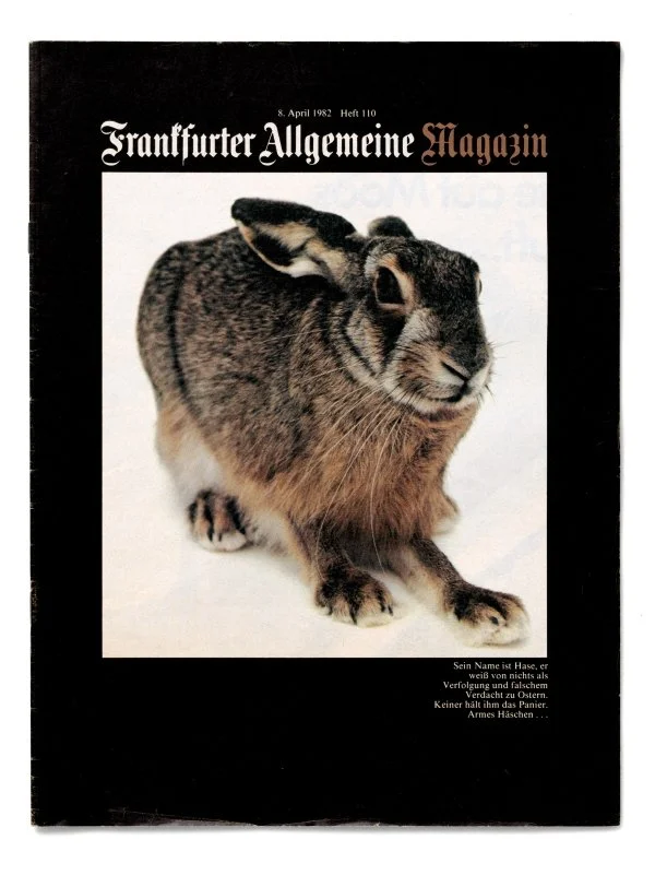 faz-magazin.jpg