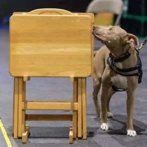 NACSW Element Specialty Trial 