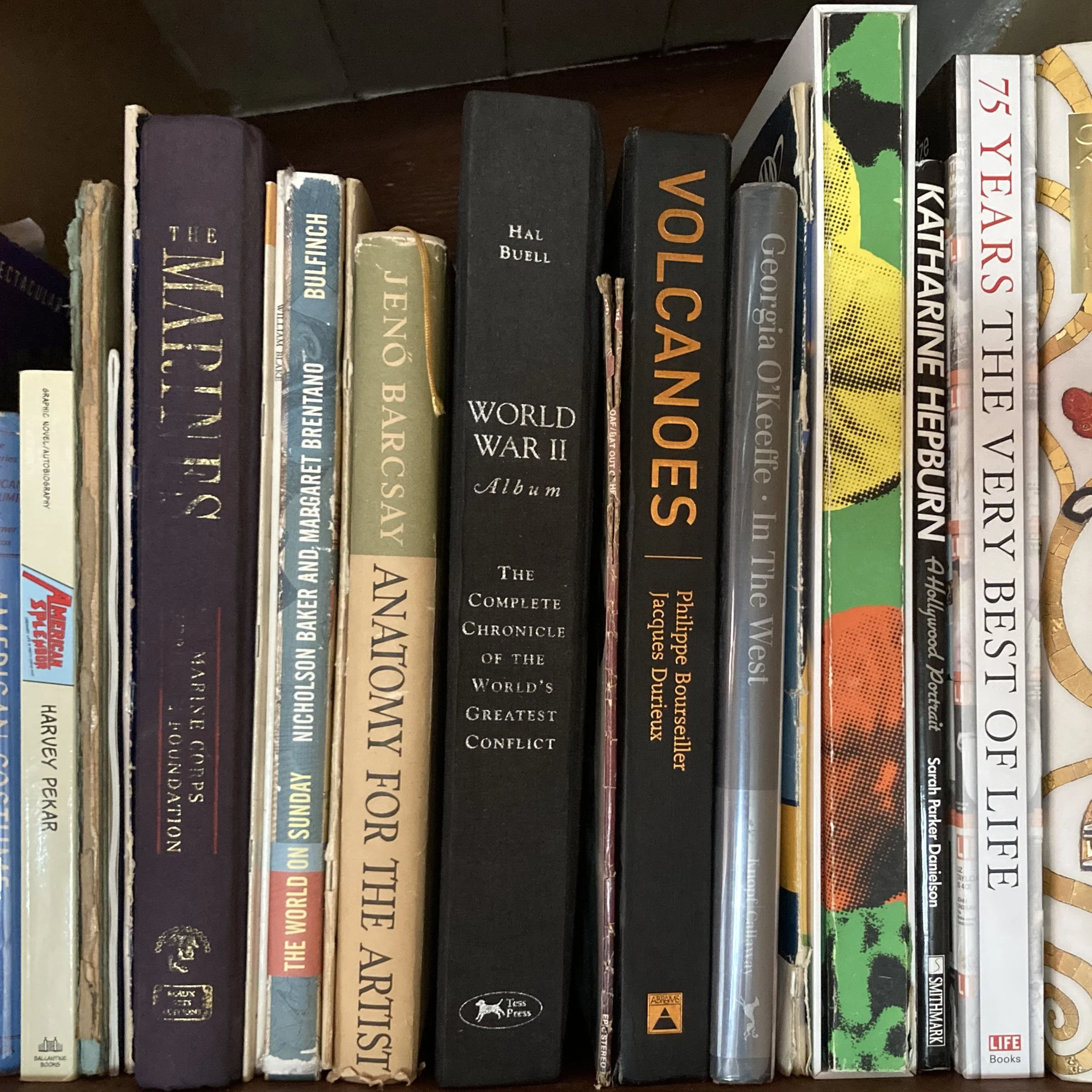 A bookshelf with various books, some with worn and torn covers, including titles about history, war, and culture.