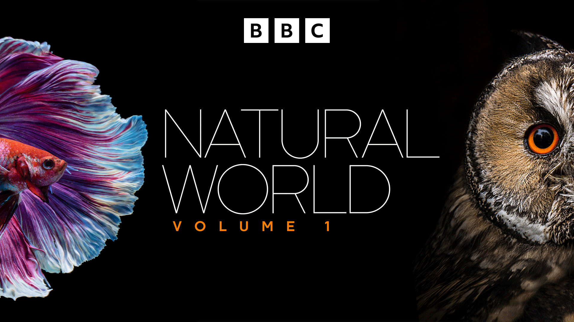 NATURAL_WORLD_VOL1_SELECT_3840x2160.png