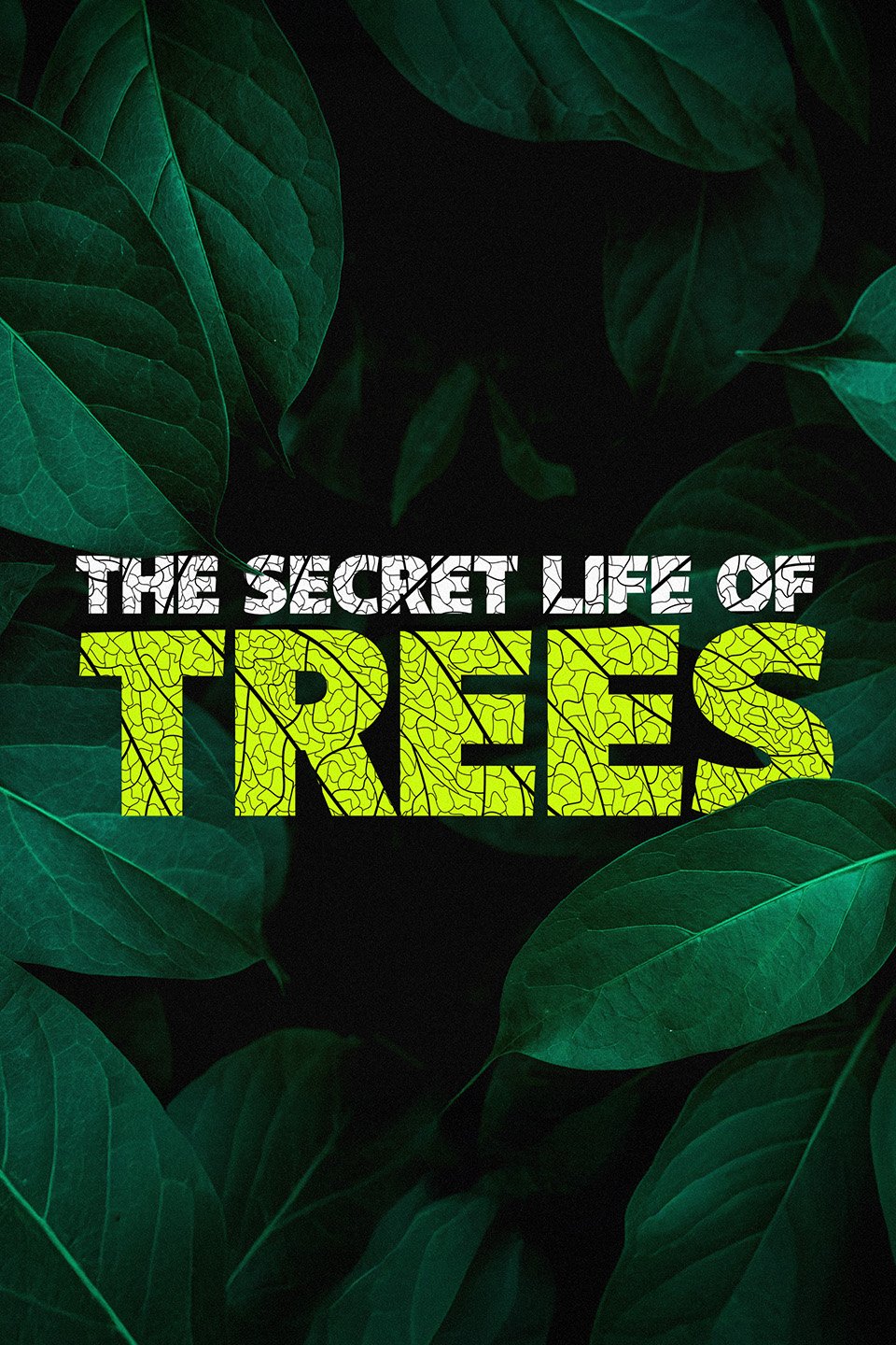 The_Secret_Life_of_Trees_2000x3000.jpg