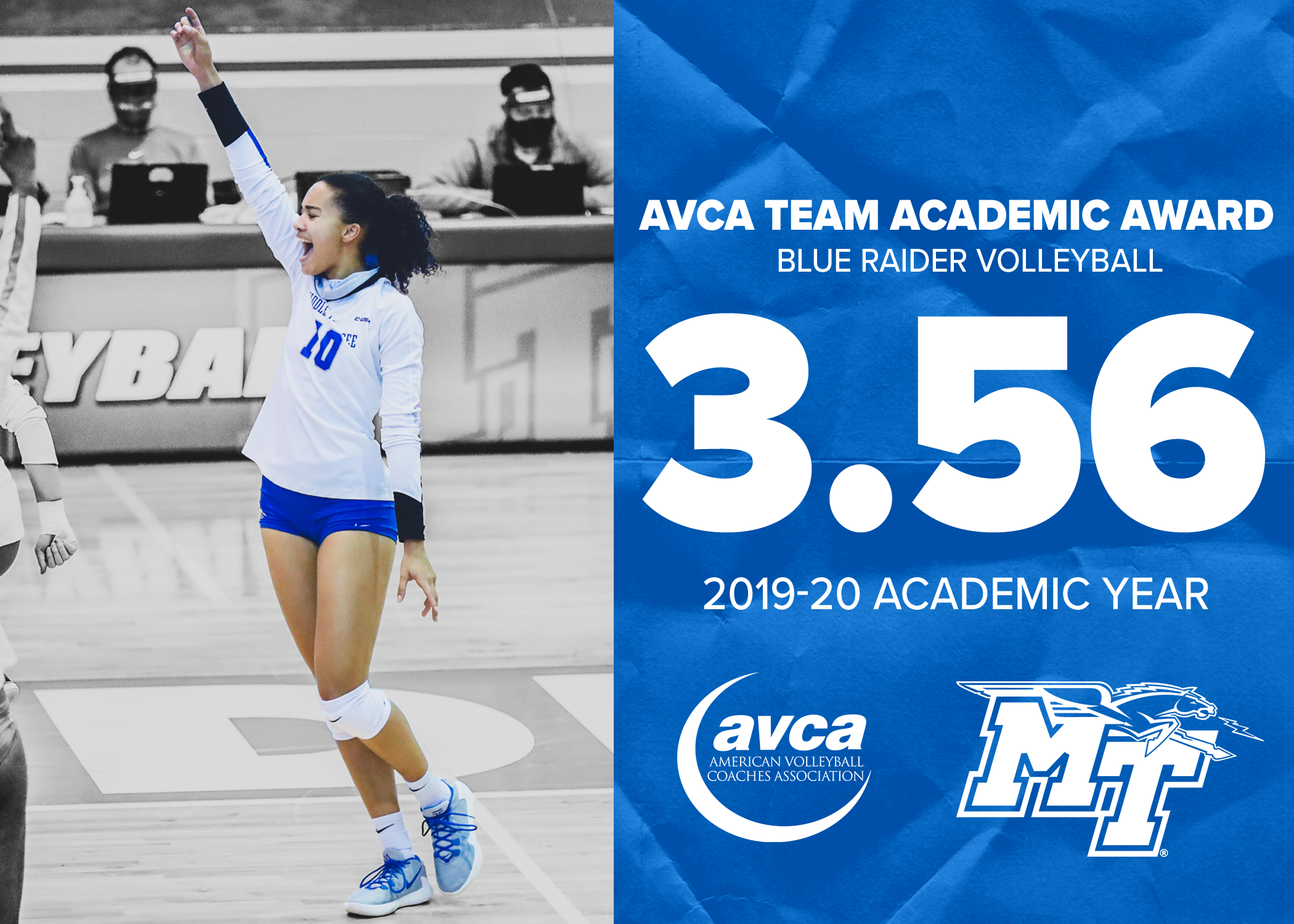 2019-20 AVCA Team Academic Award.png