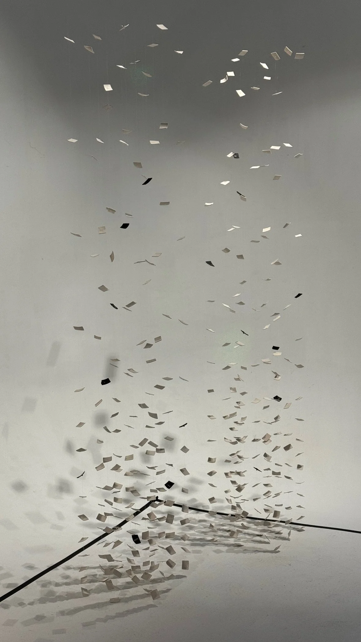 253D139F-EF25-41B3-ADCB-713A41AD609B.jpeg