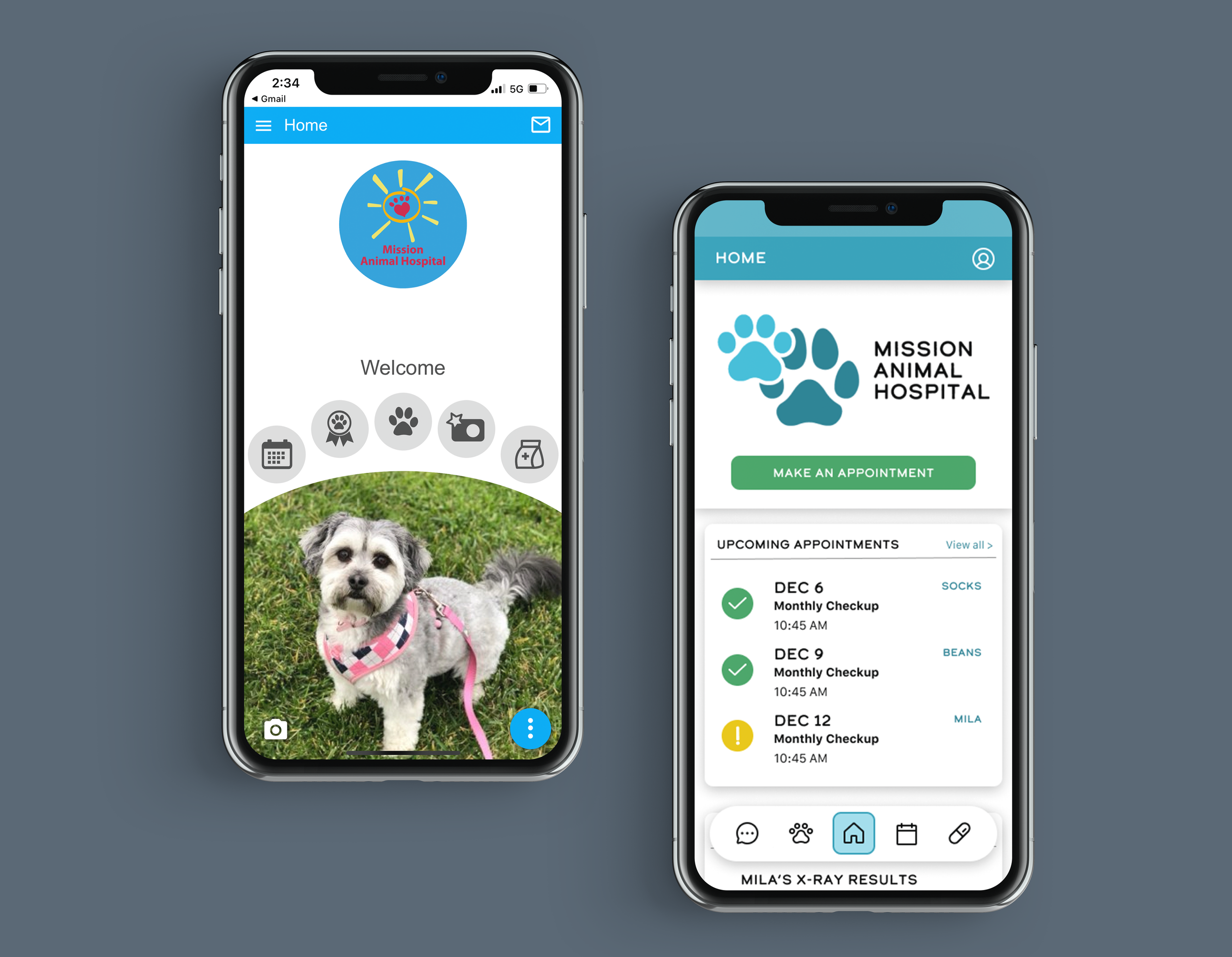 Mission Animal Hospital Redesign