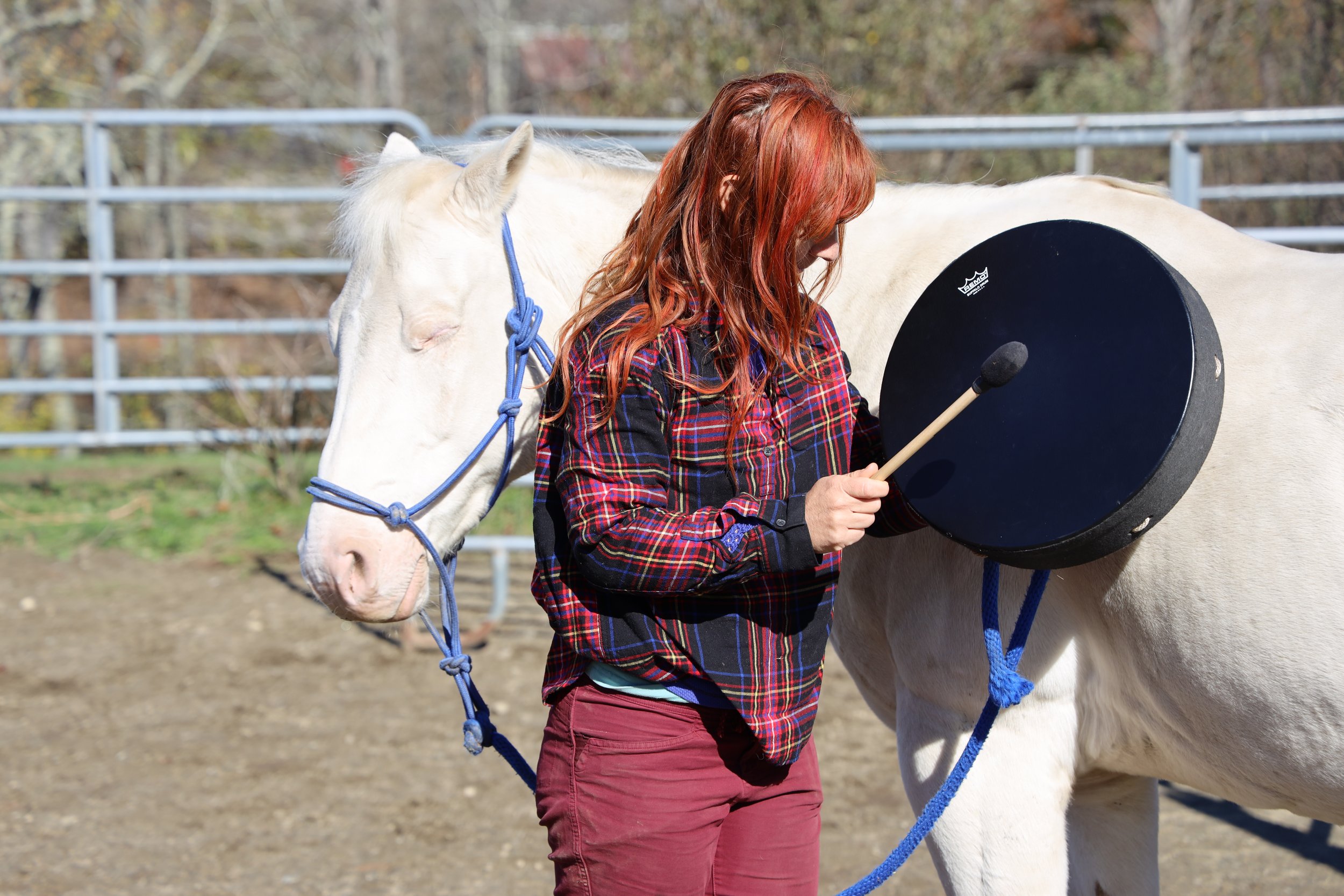 Equine and Unwind with Horses