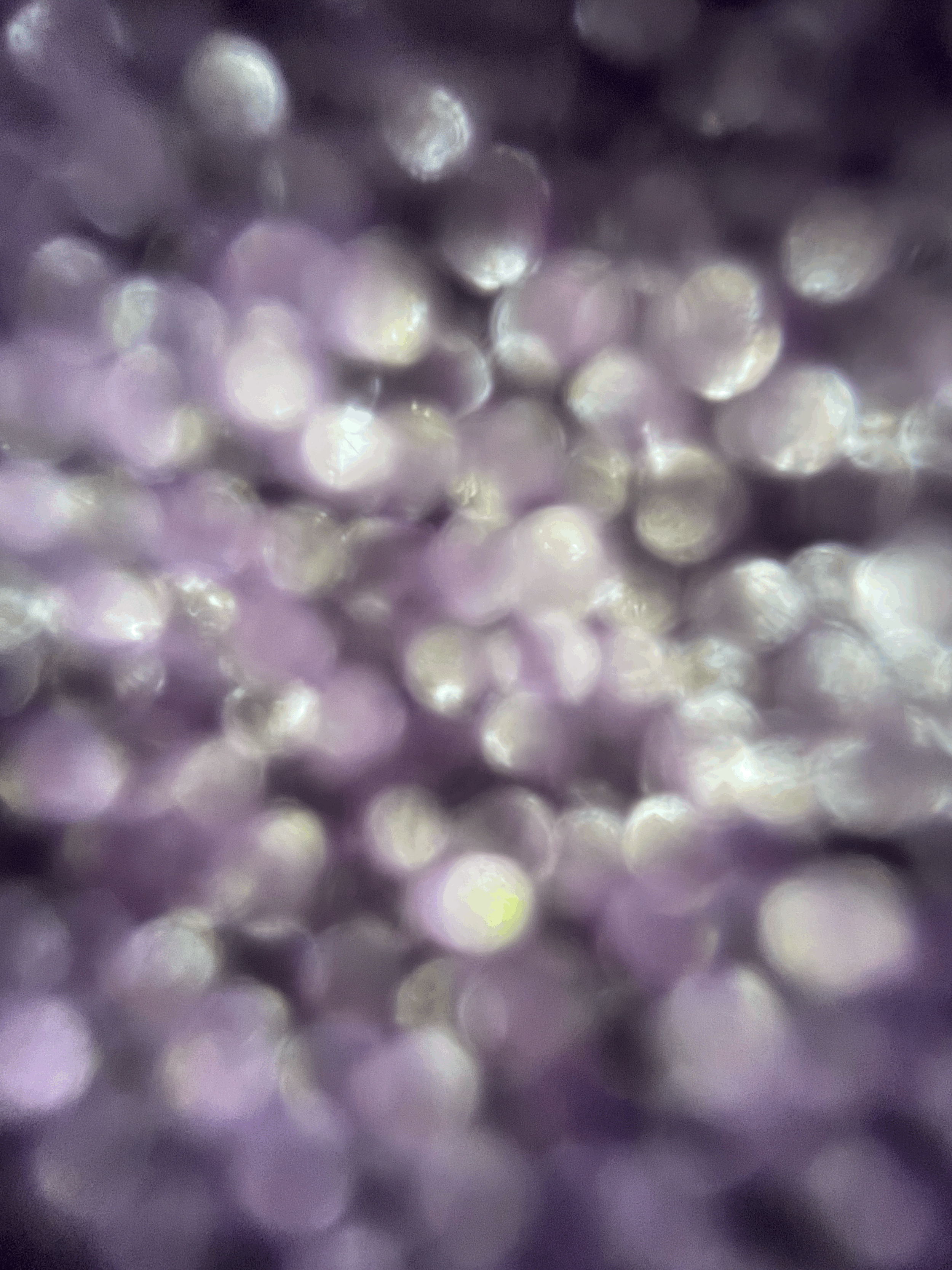 Elemental Ecstatic Dance 