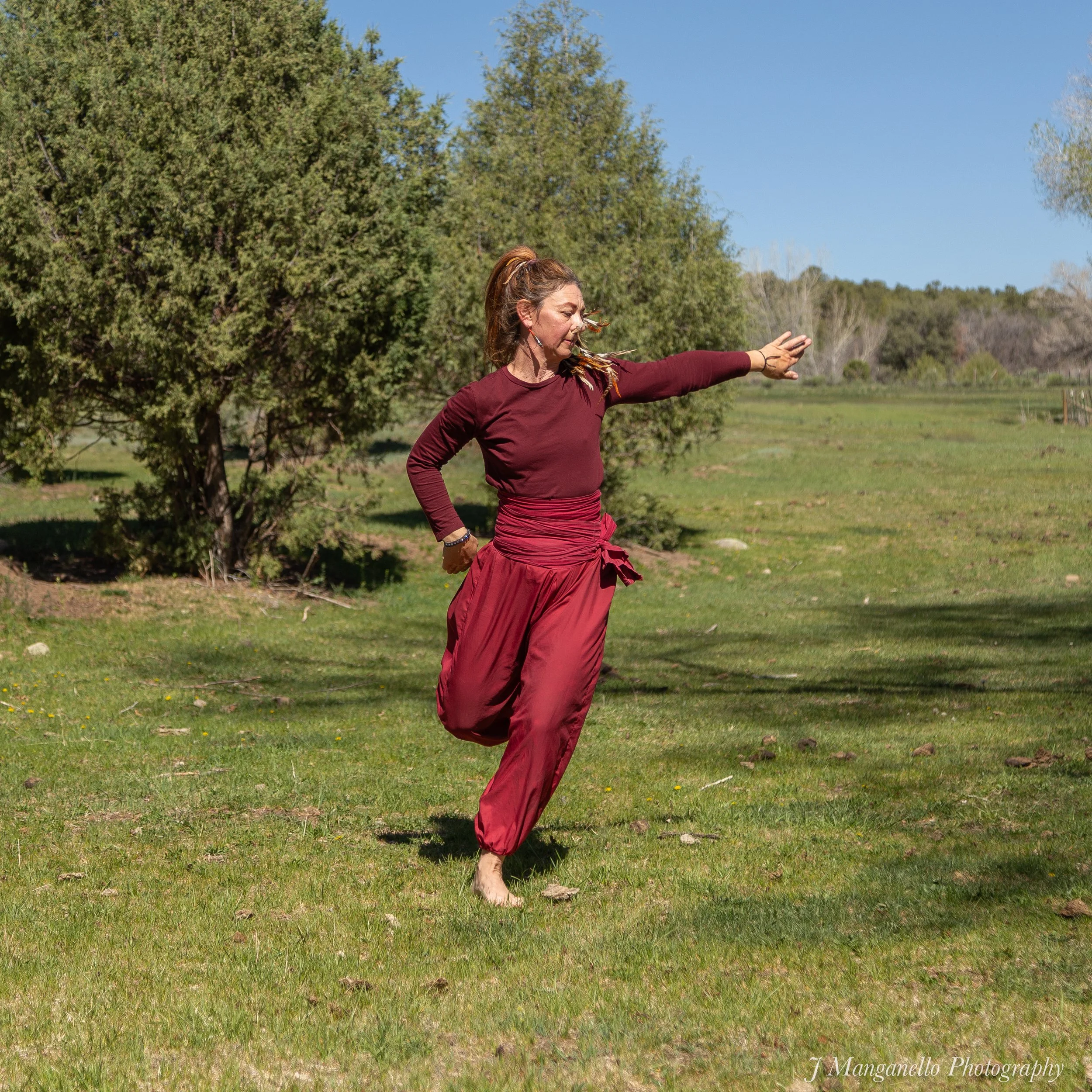 Kalaripayattu Portland Series 