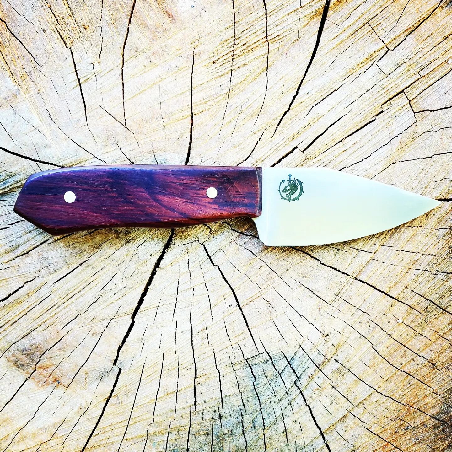 &quot;You can't go back and change the beginning, but you can start where you are and change the ending.&quot;- C.S Lewis.

Available. 52100, cocobolo, Tiffany Blue G10.

Your story isn't over.