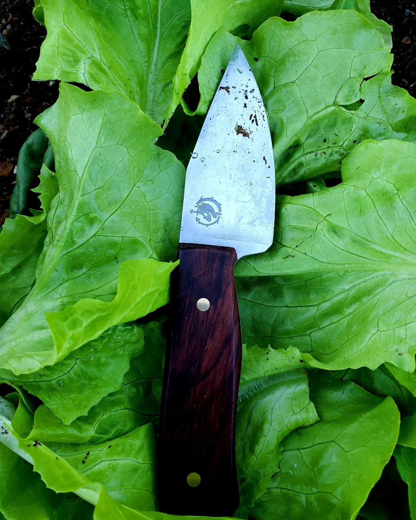 First garden harvest of the year made easier with this dandy. A quick strop and she's back to razor sharp!

I watched an informative video on the Instagram algorithm today. Let's see how this goes.

Social media is legit my least favorite part of run