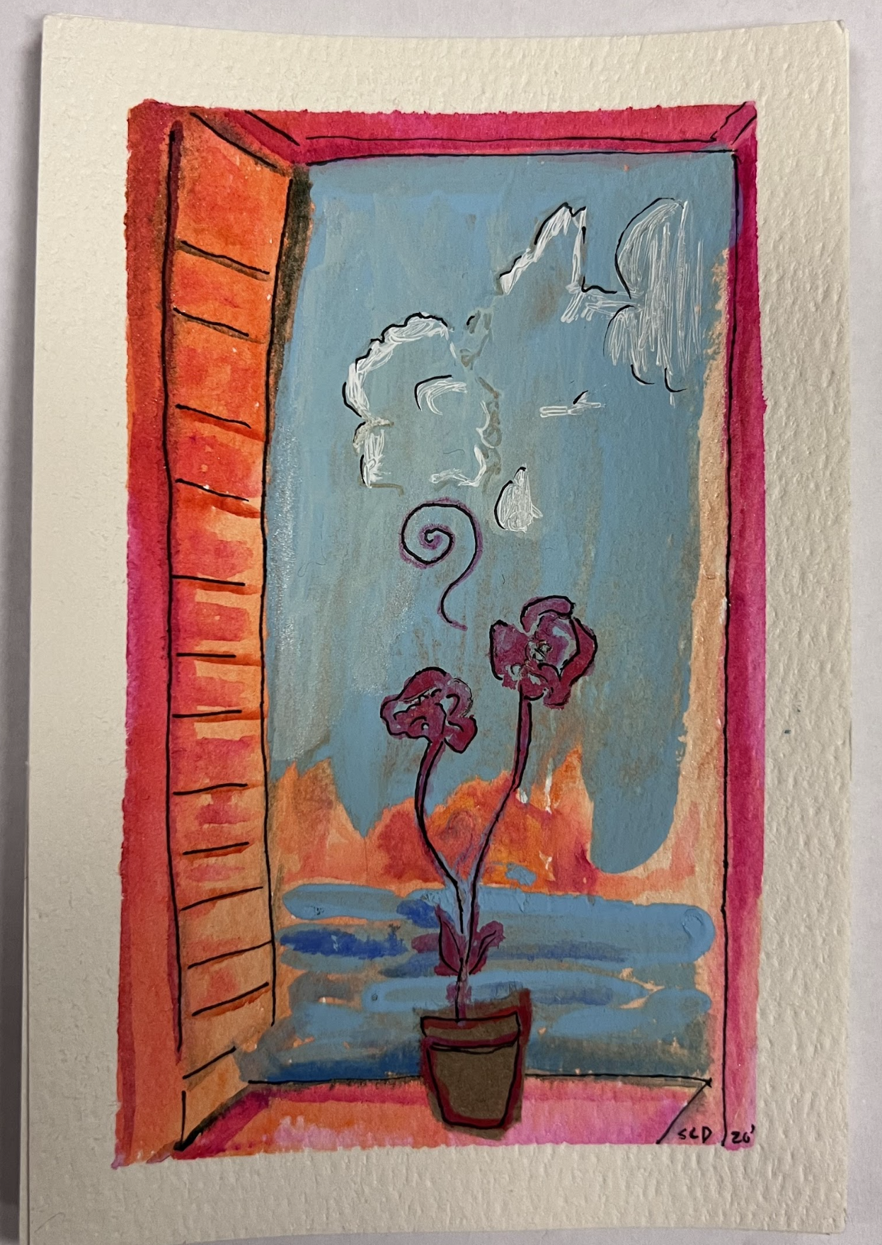 Window Pane