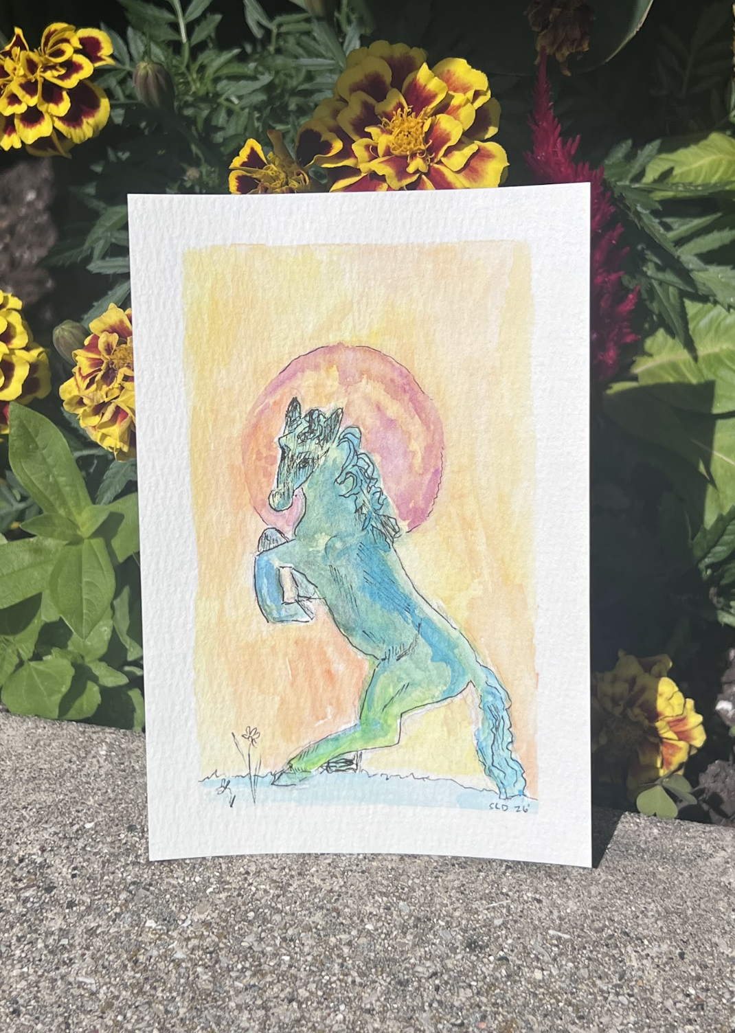 Horse & Sun