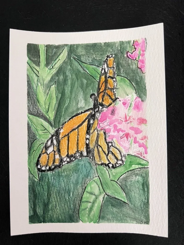 Butterfly Watercolor