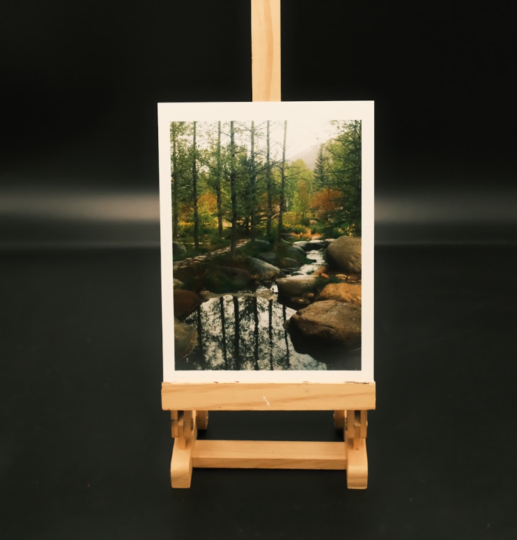 Denver Sanctuary Photo Prints