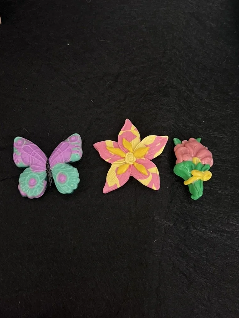 Nature magnets.jpeg