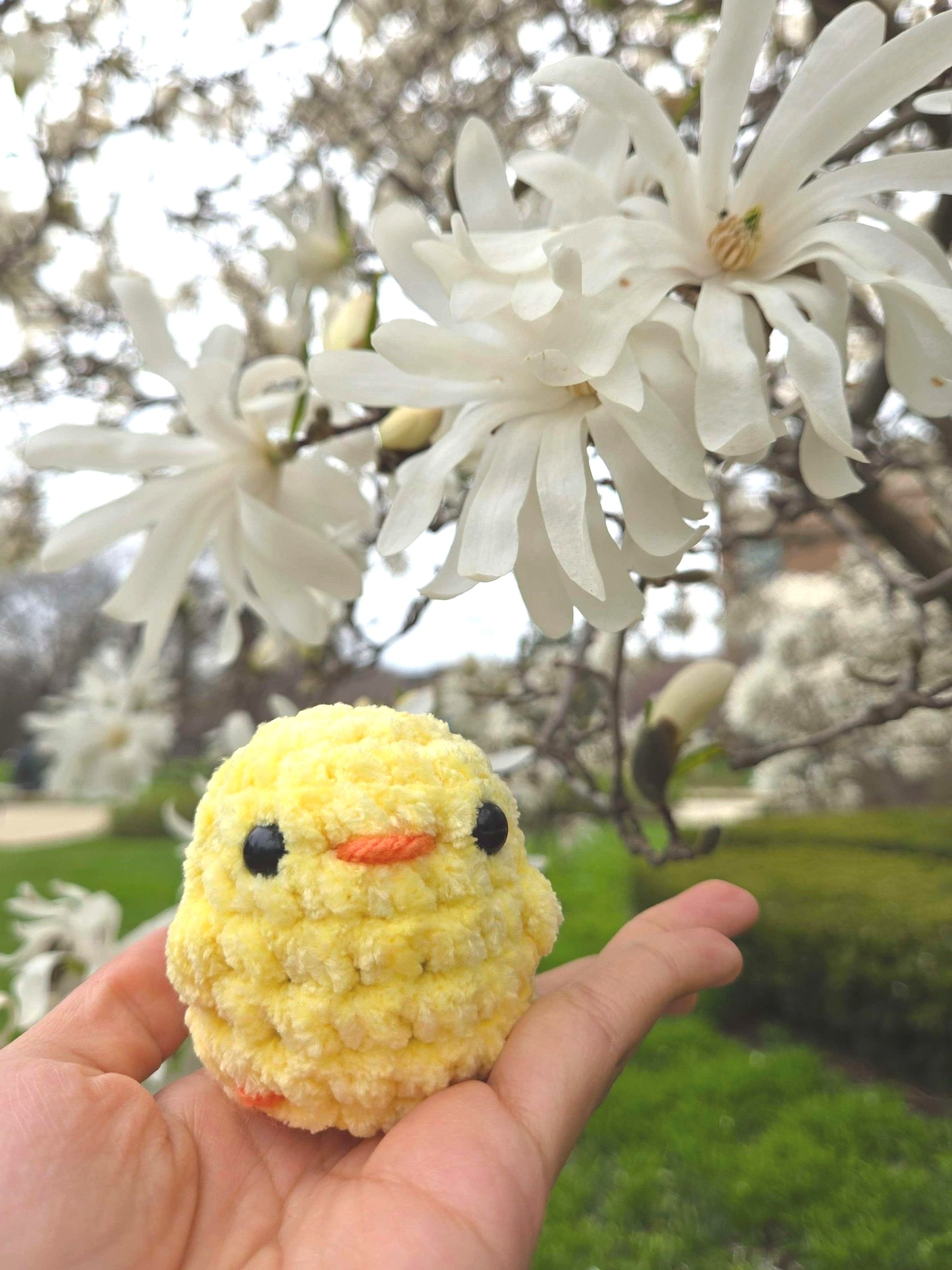 Crochet%2Bduck%2B3.jpg
