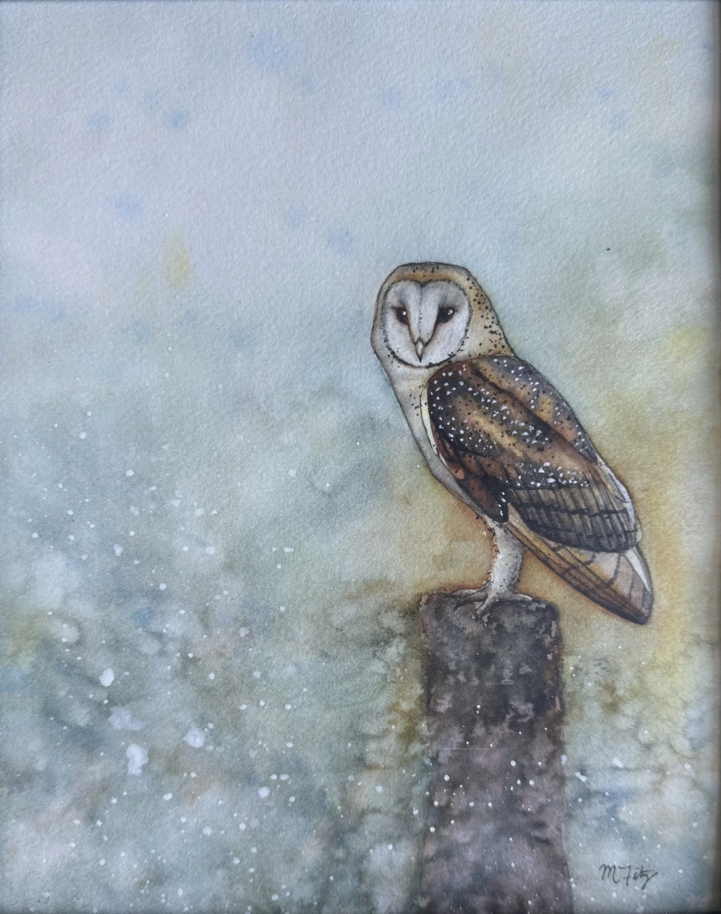 Barn Owl 2, 2025