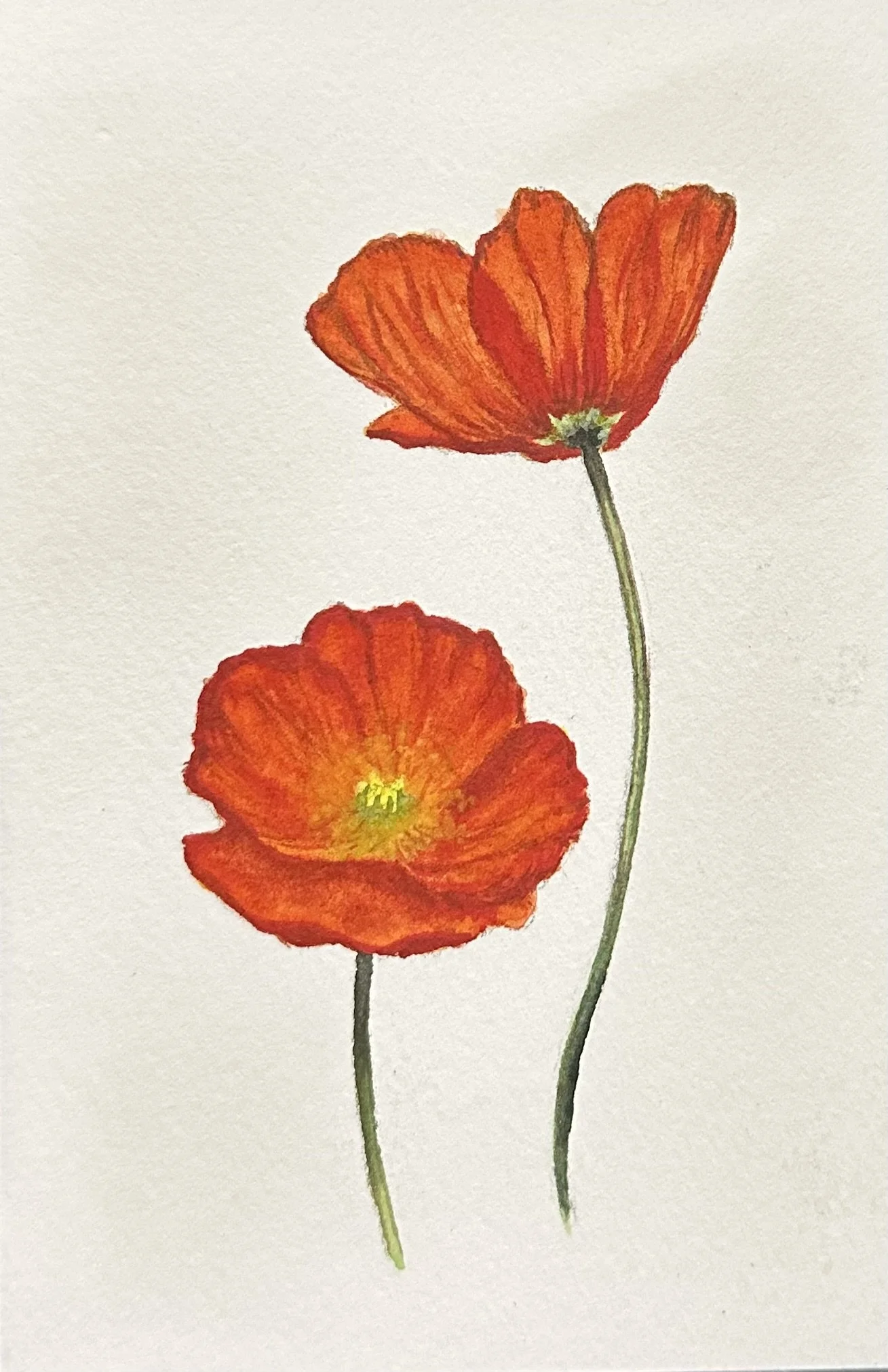 Little Flowers, 2025