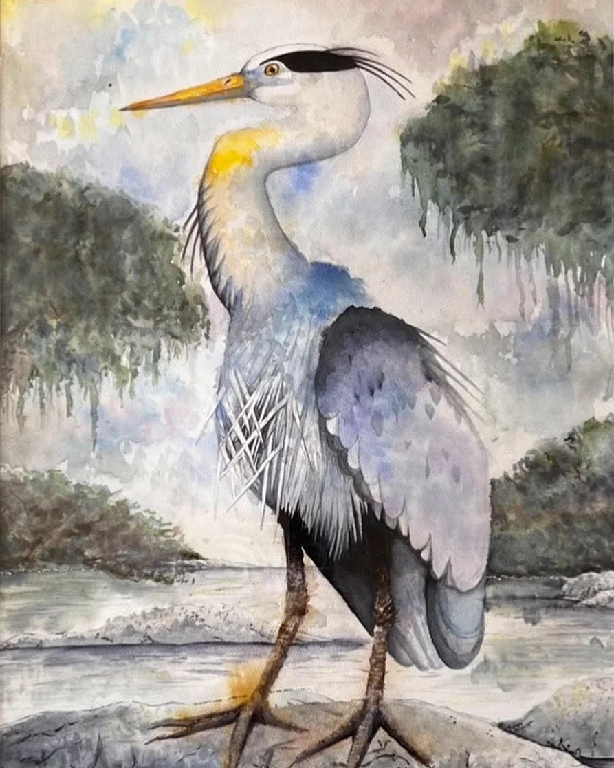 Great Blue Heron, 2021
