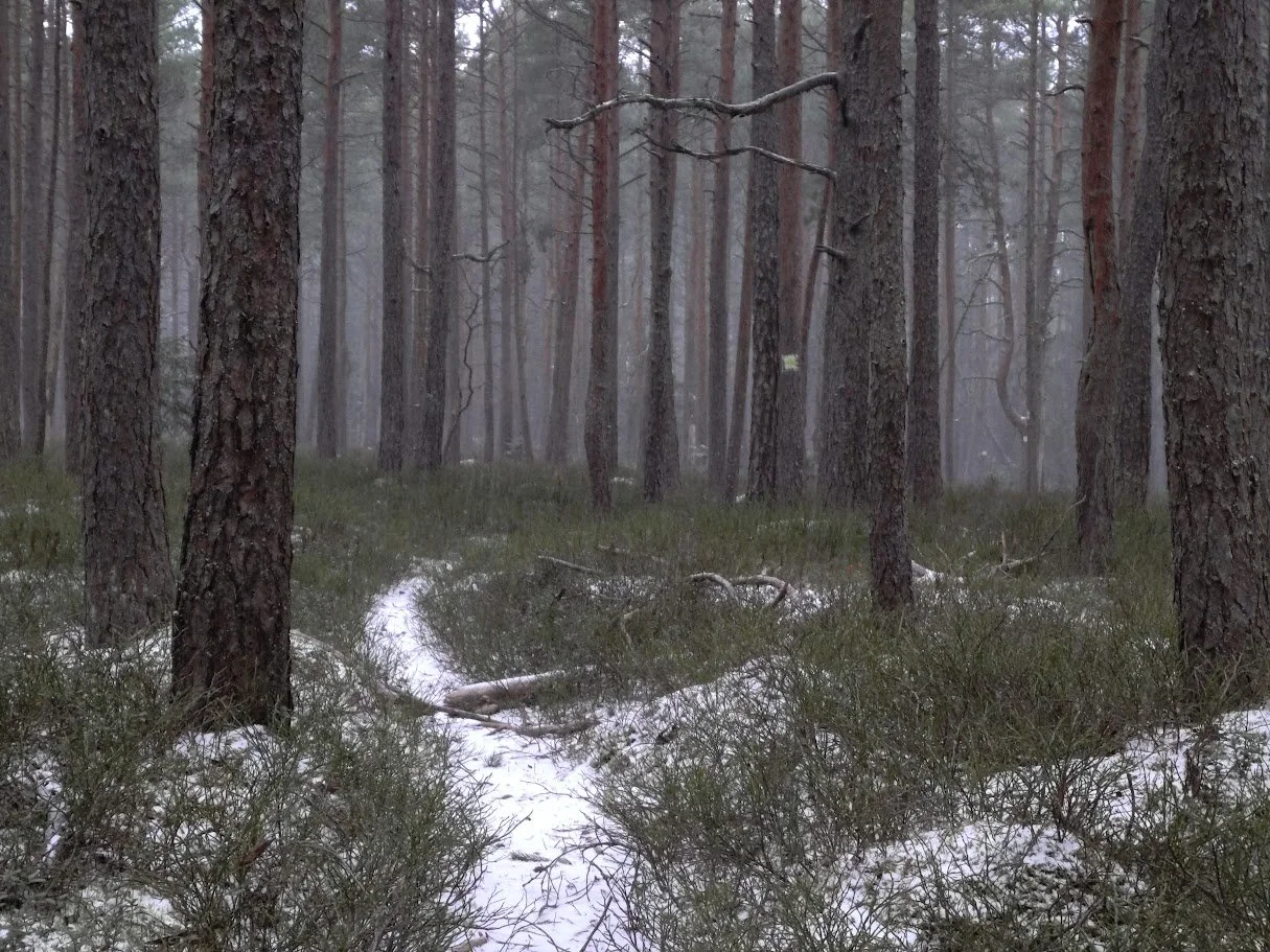 29.12.2025 Rabivere matk