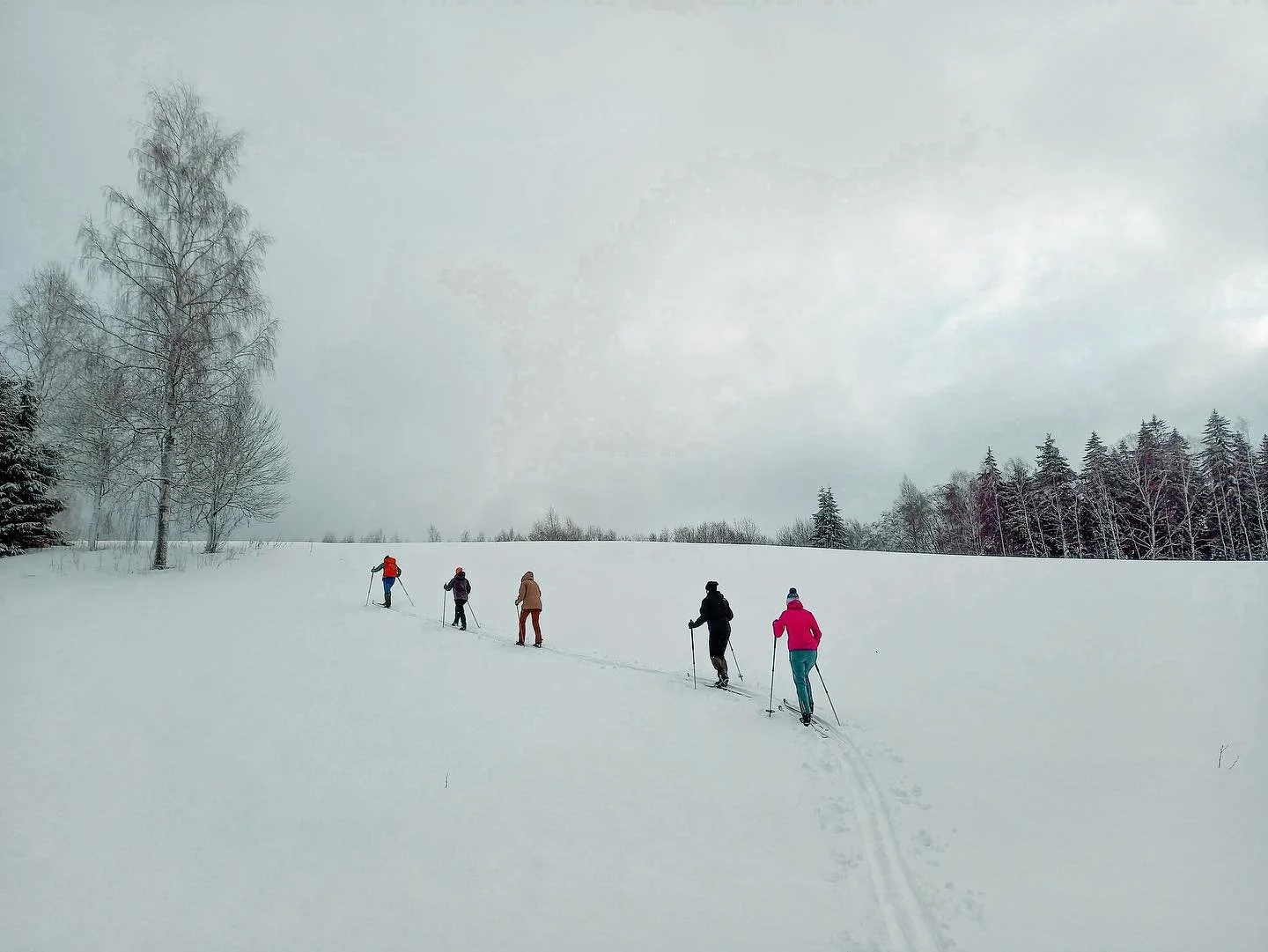 2-4.02.2024 Haanja suusamatk