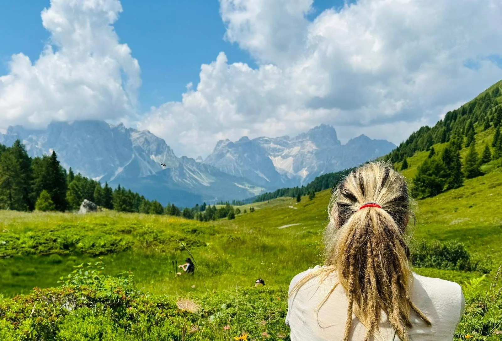 A woman with blonde dreadlocks tied with a red hair tie, viewed from behind, standing in a lush green meadow with mountains in the background under a partly cloudy sky.