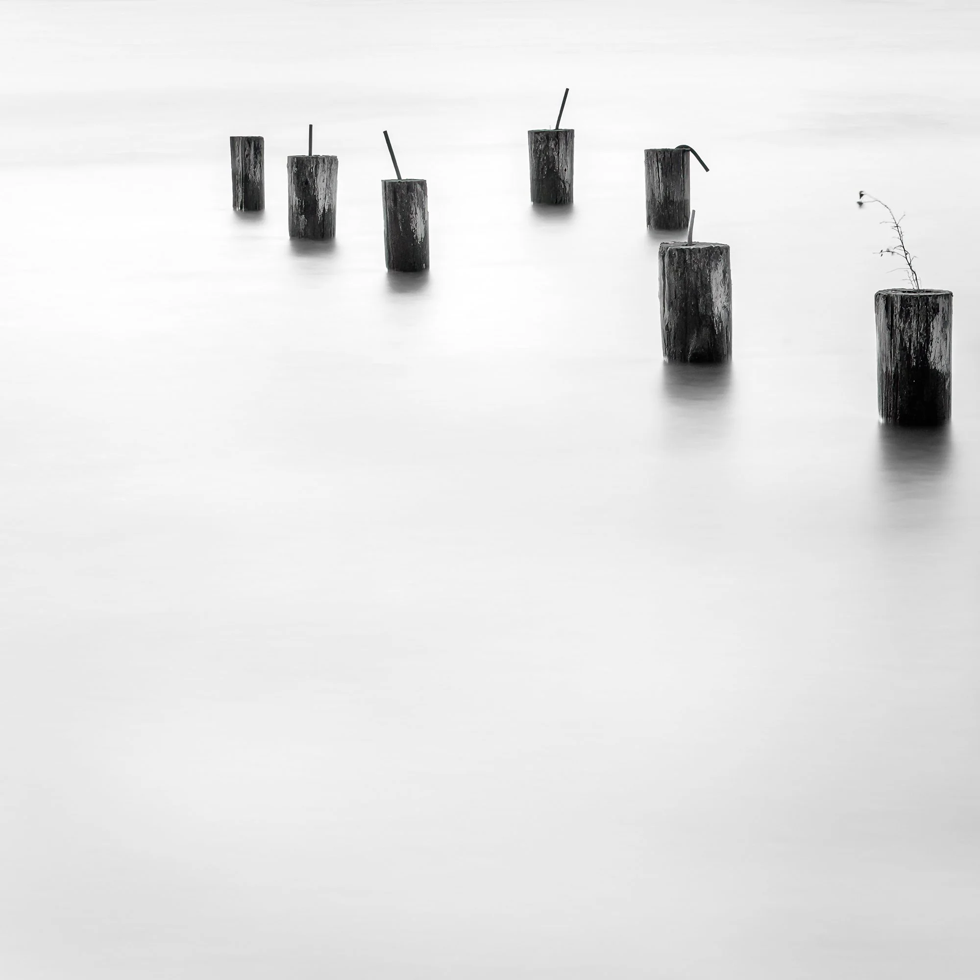 pilings, 2017