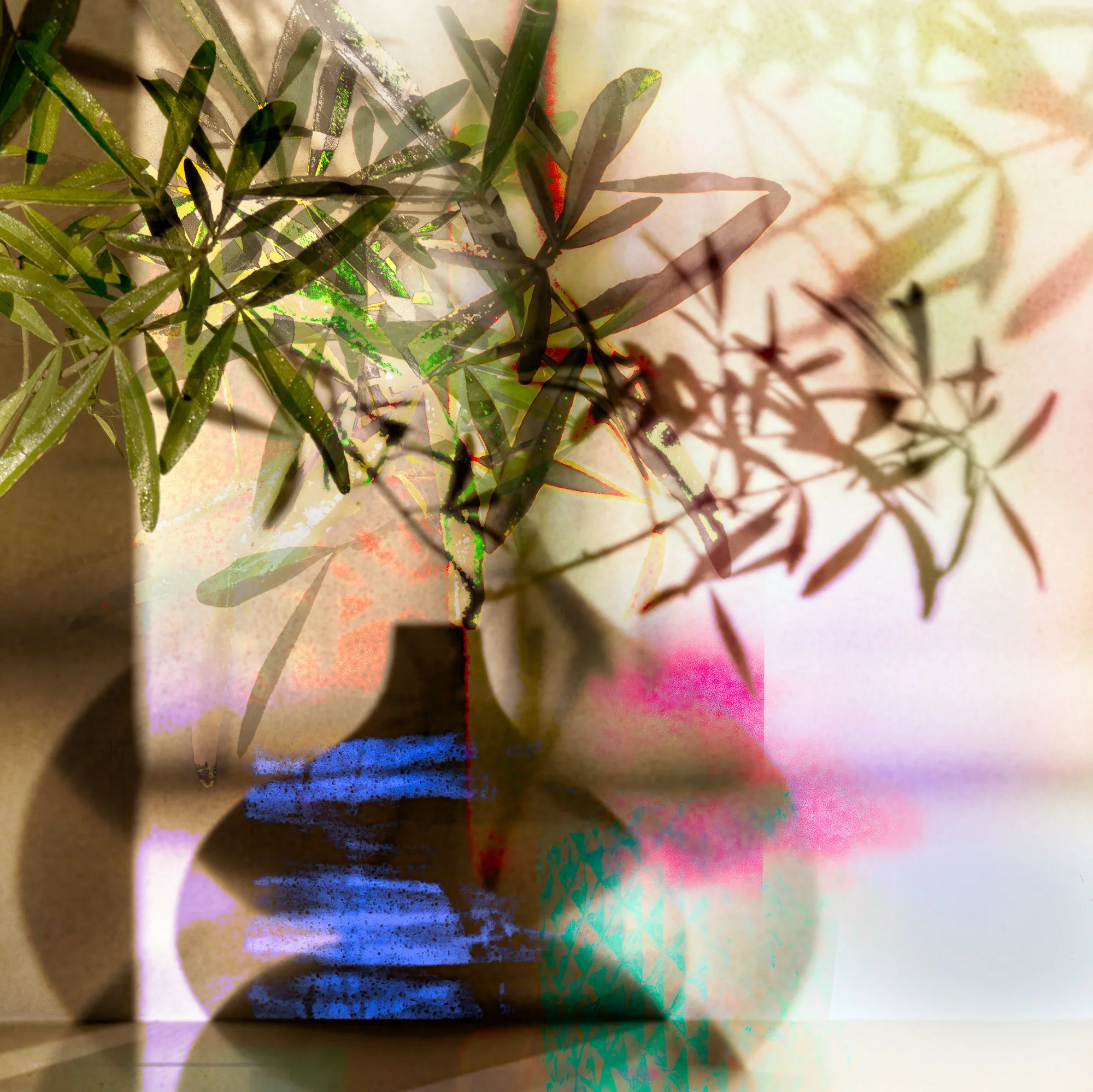 winter shadows III, 2025