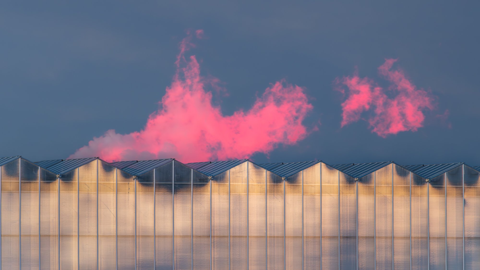 pink smoke, Calgary, 2022