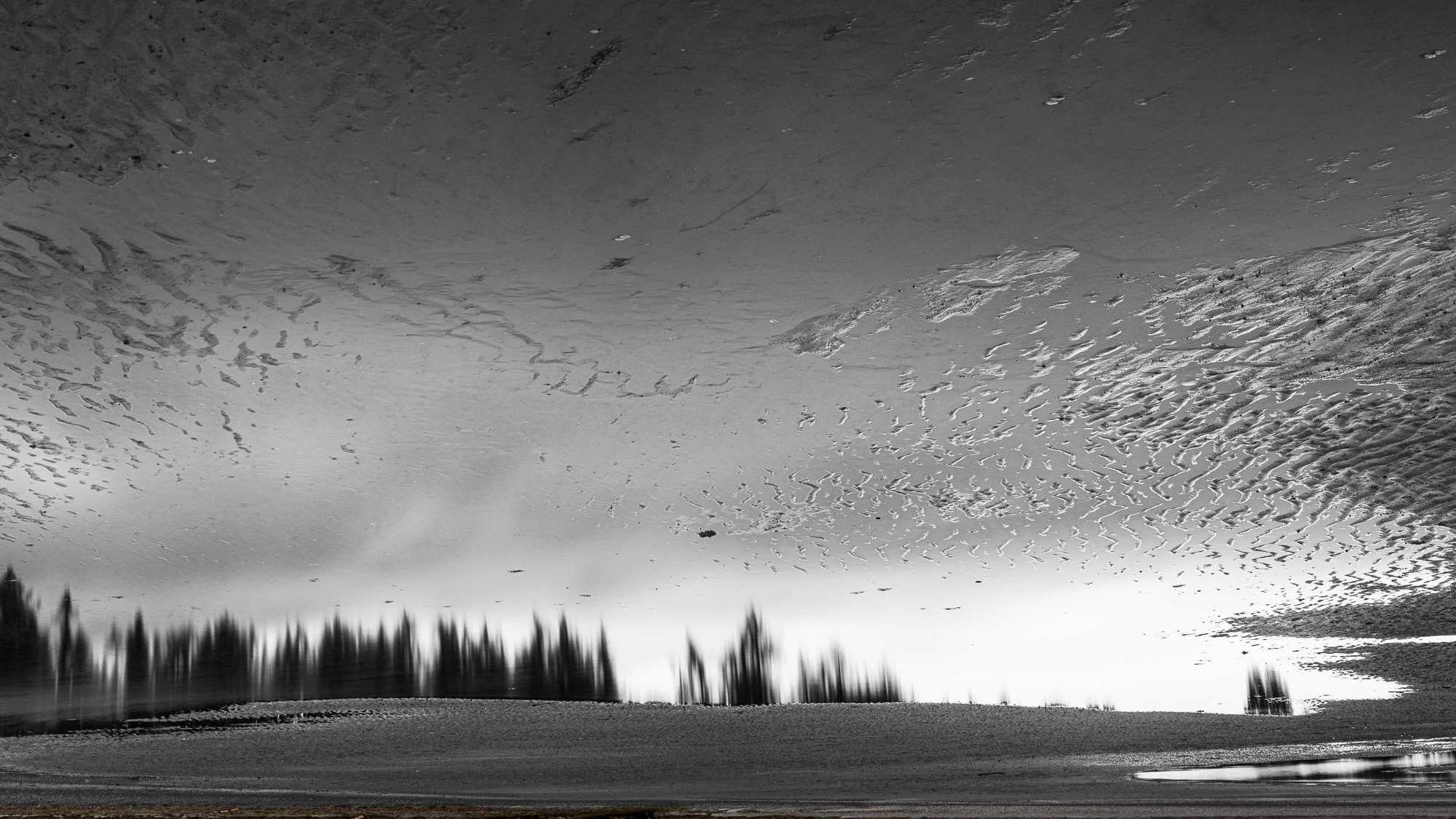 beach, Parksville, 2020