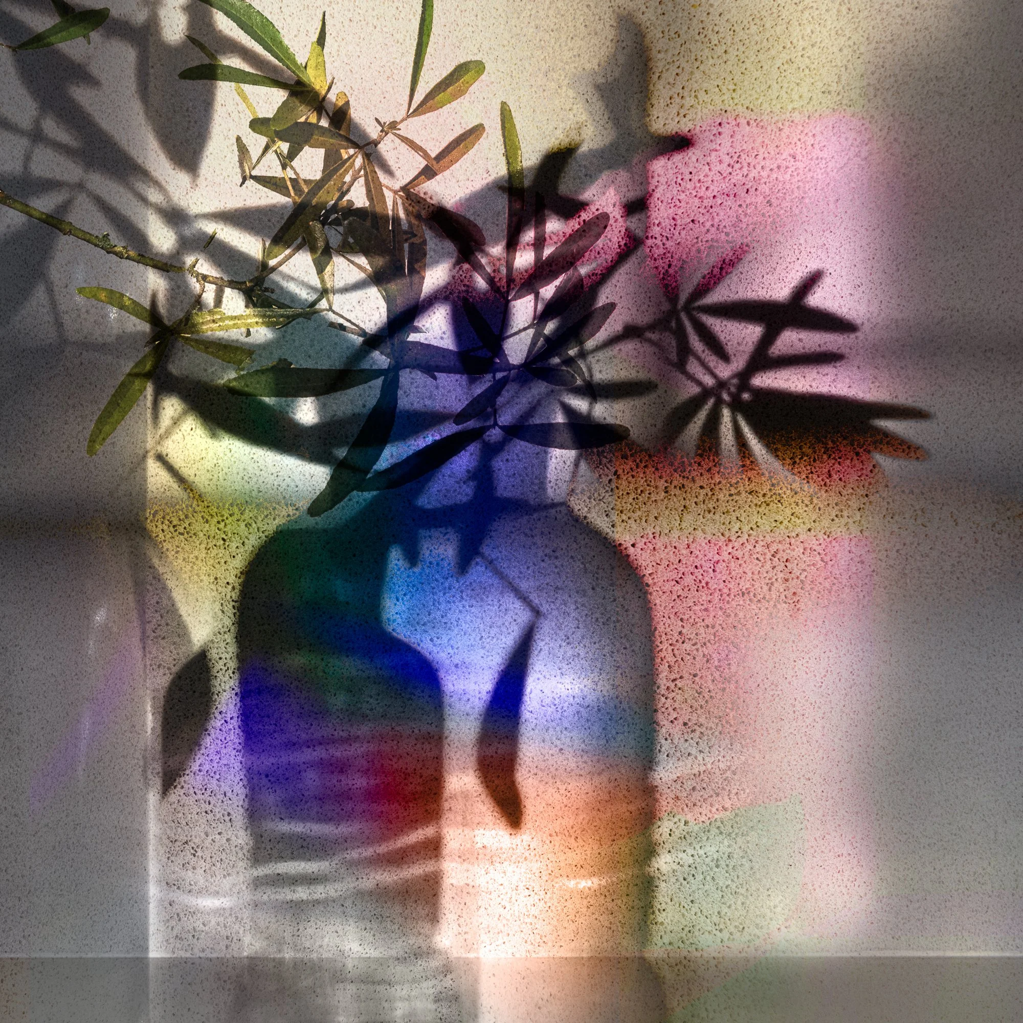 winter shadows I, 2025