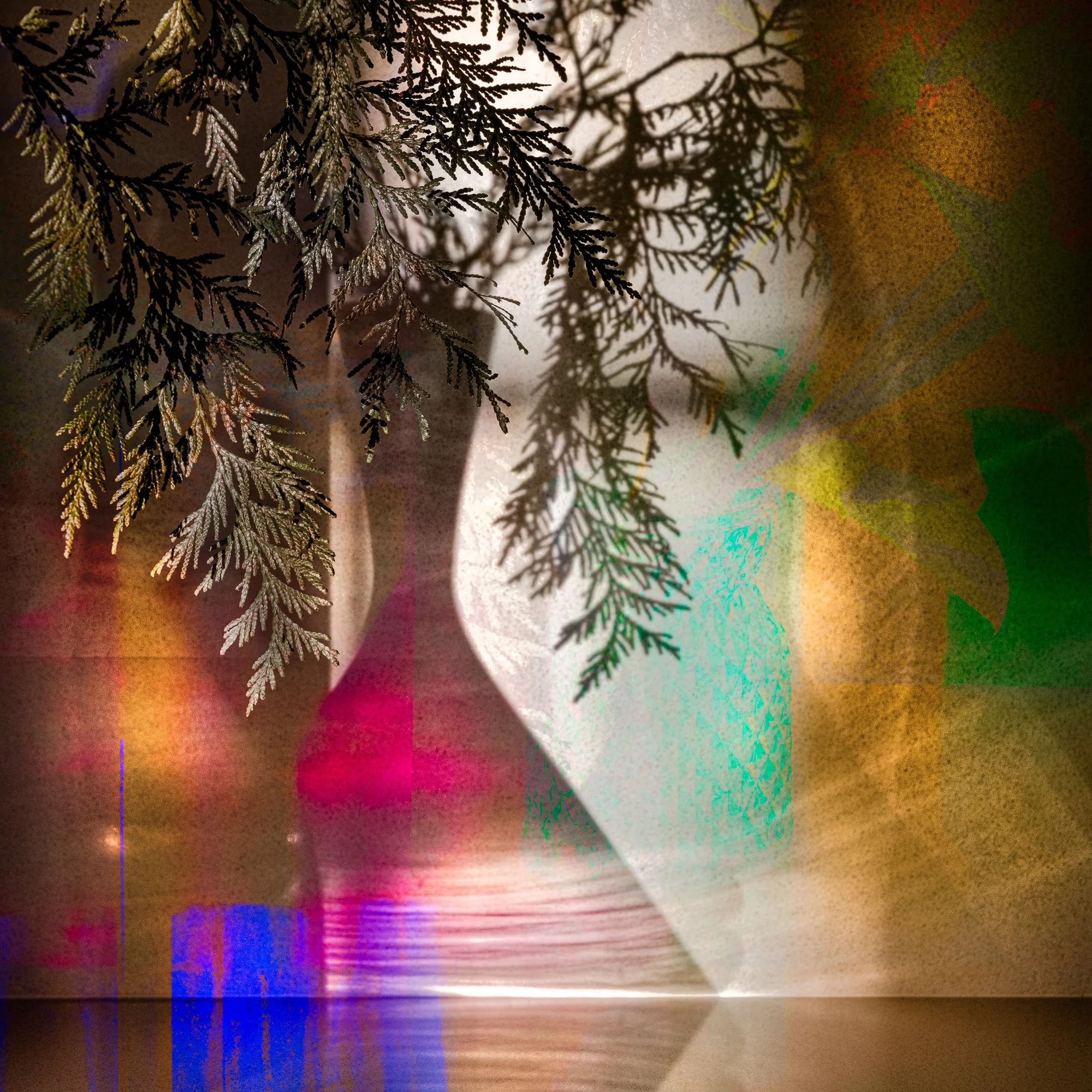 winter shadows IV, 2025