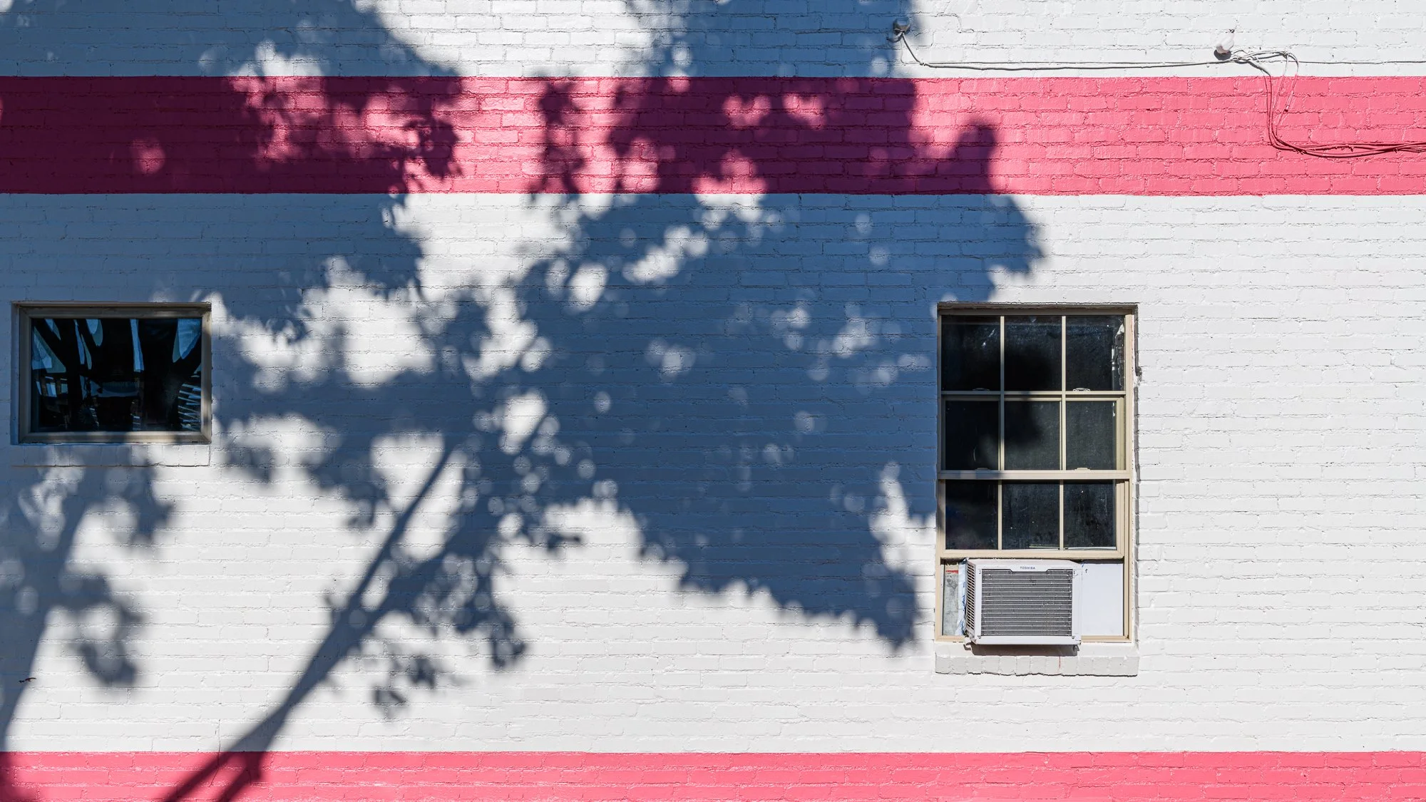 tree shadow, Denver, 2022