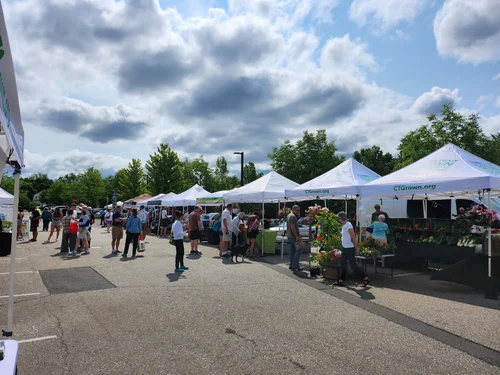 West Hartford Sunday Blue Back Farmers' Market, business photo 1