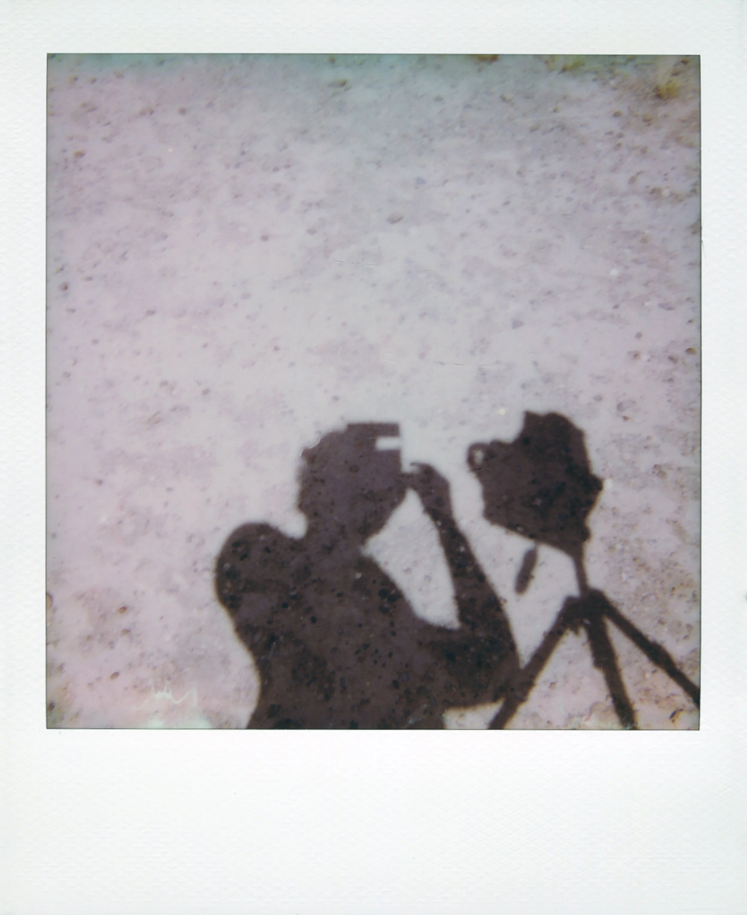 Square-frame polaroid of shadow of a person taking a photo of their shadow, with a camera and a tripod, on a light-colored surface.