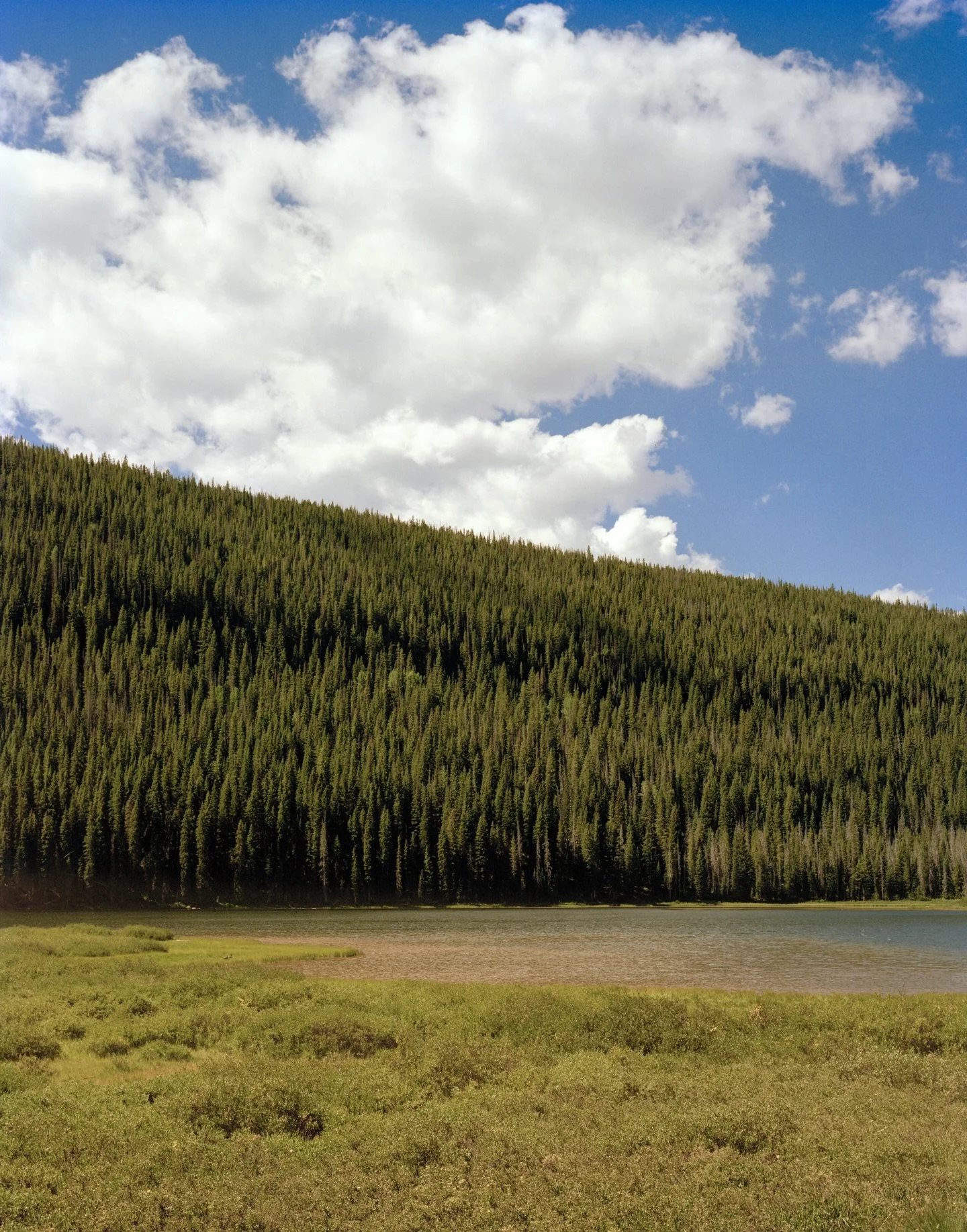 Piney Lake (July &lsquo;25) ☁️☁️☁️
one of my favorites i&rsquo;ve ever taken!!!!

shot w #toyo45 on @kodak #portra400