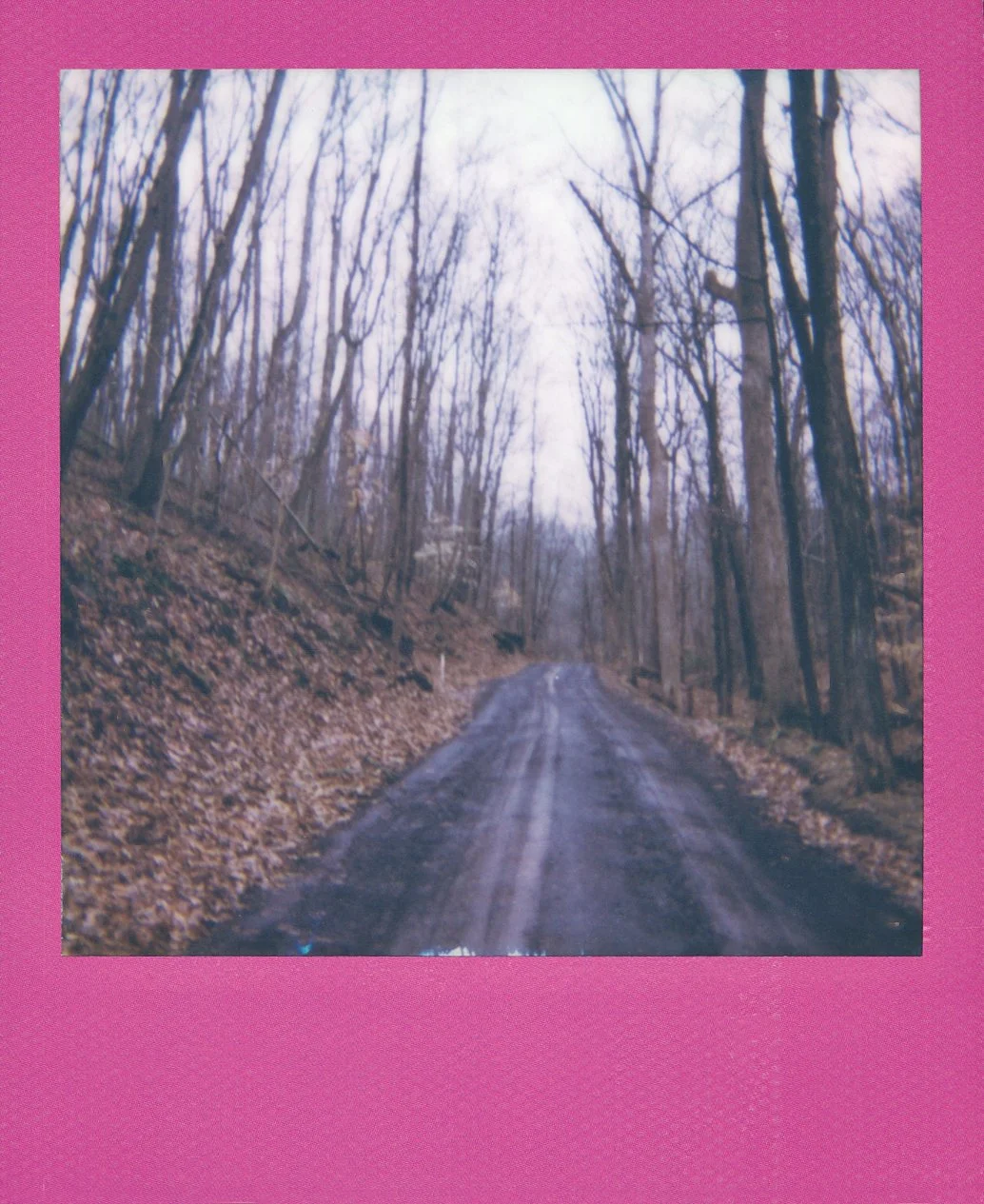 polaroid-upstate-nyc-pink-frame.jpg