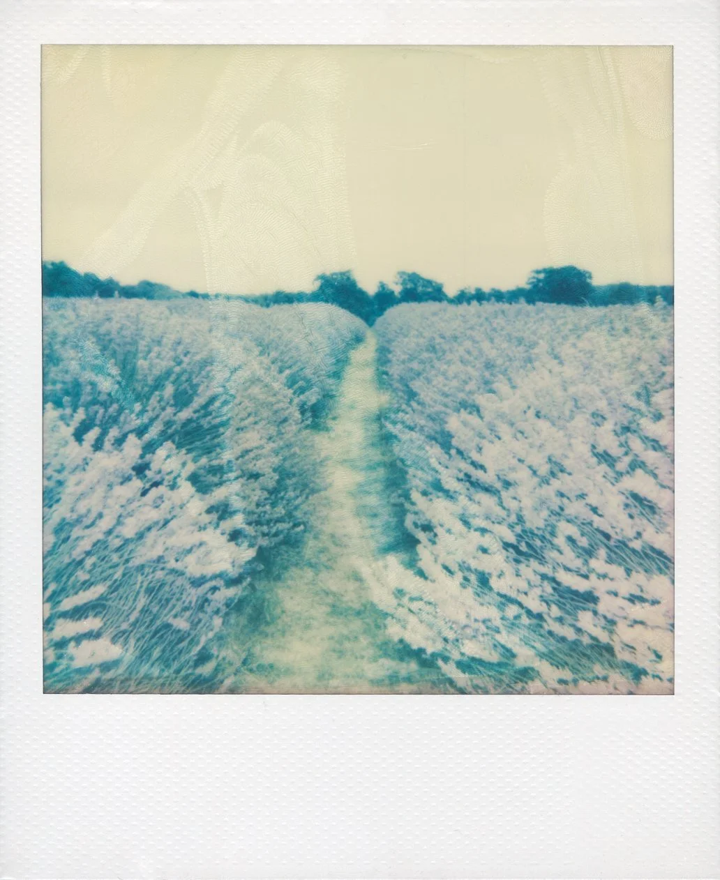 polaroid-europe-london-purley.jpg