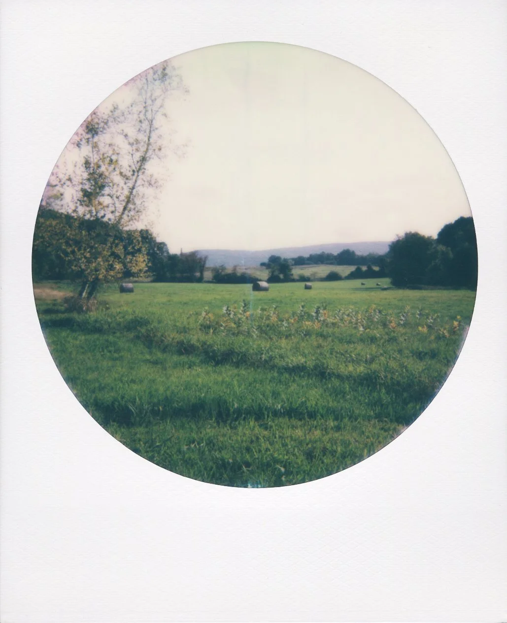 polaroid-upstate-nyc-round-04.jpg