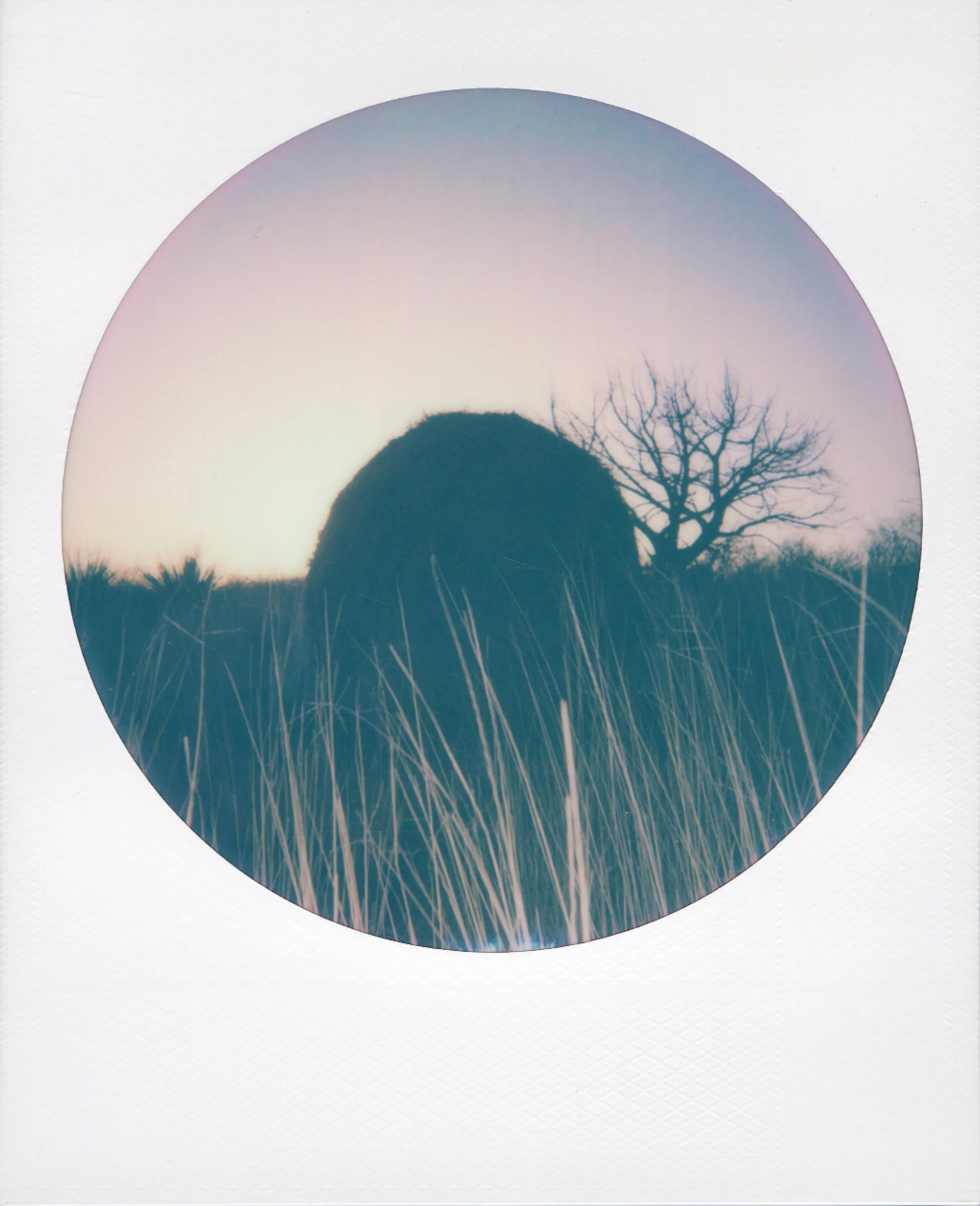 polaroid-west-texas-round-09.jpg