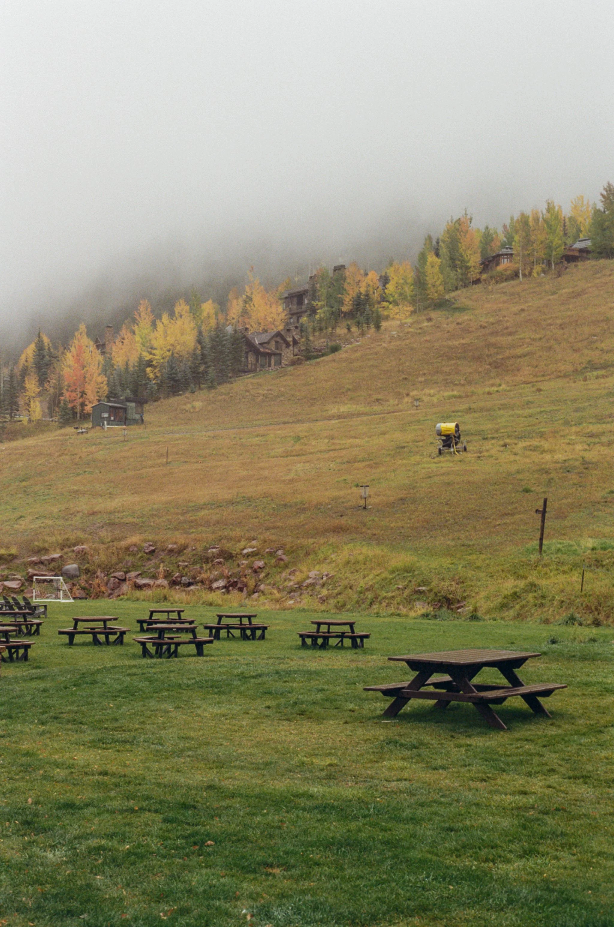 Empty outdoor area with picnic tables on green grass, with a hillside in the background featuring trees, a foggy sky, and buildings on the hill.