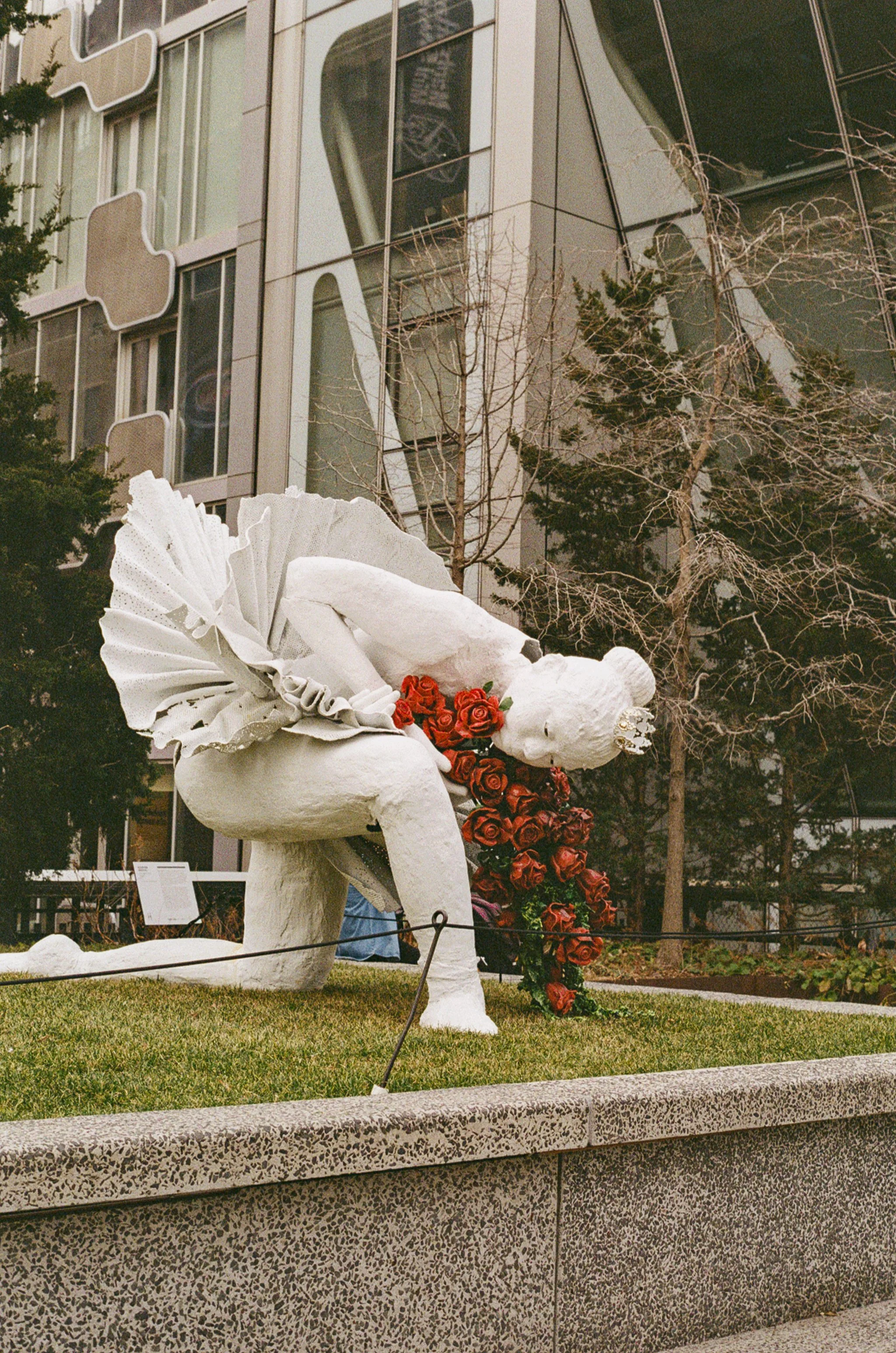 A white sculpture of a ballerina with a crown, holding a large bouquet of red roses, placed on a grassy area in front of a modern building with glass windows and trees.
